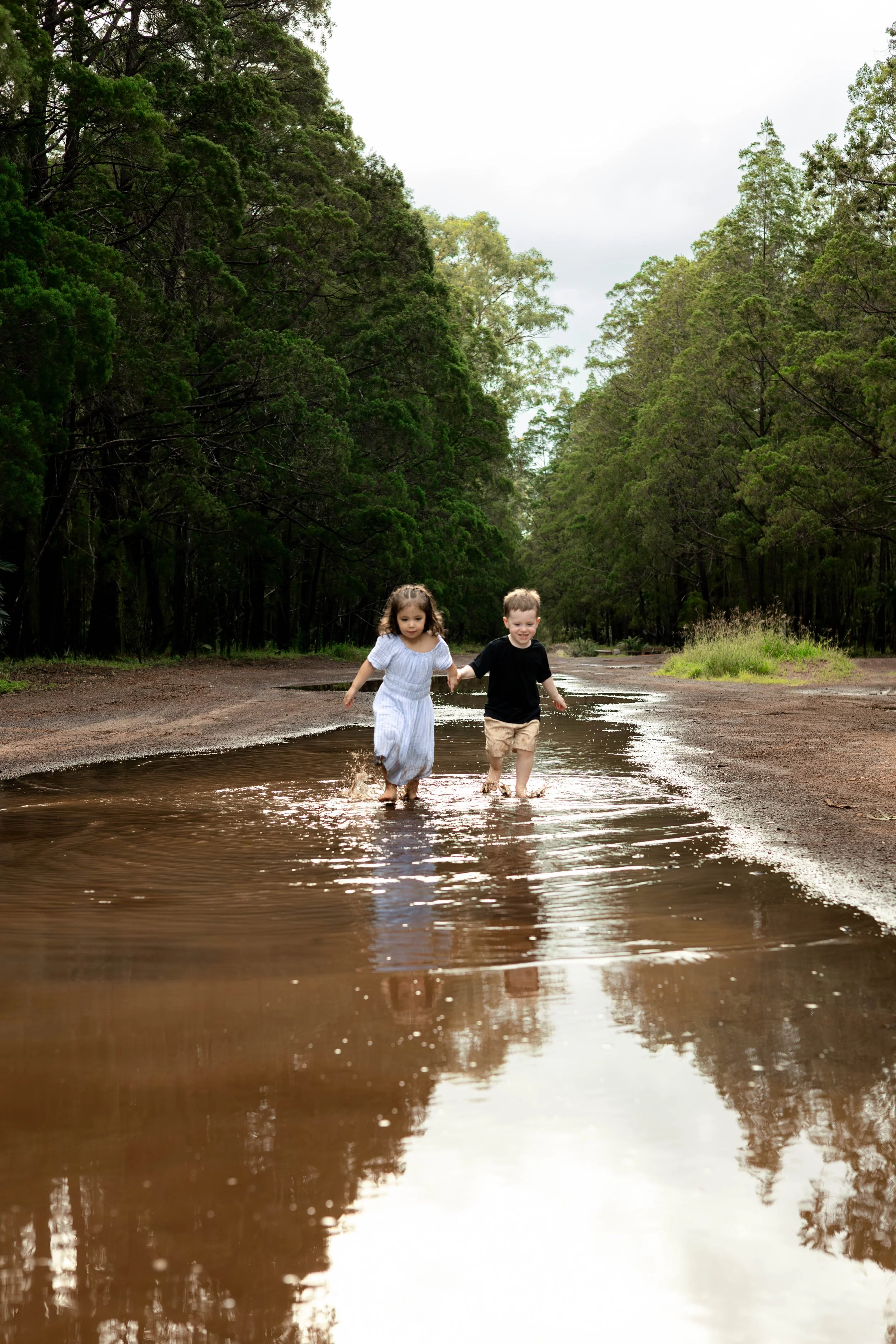 Snedden Family - Old Pine Forest 17.01.2026-88.jpg
