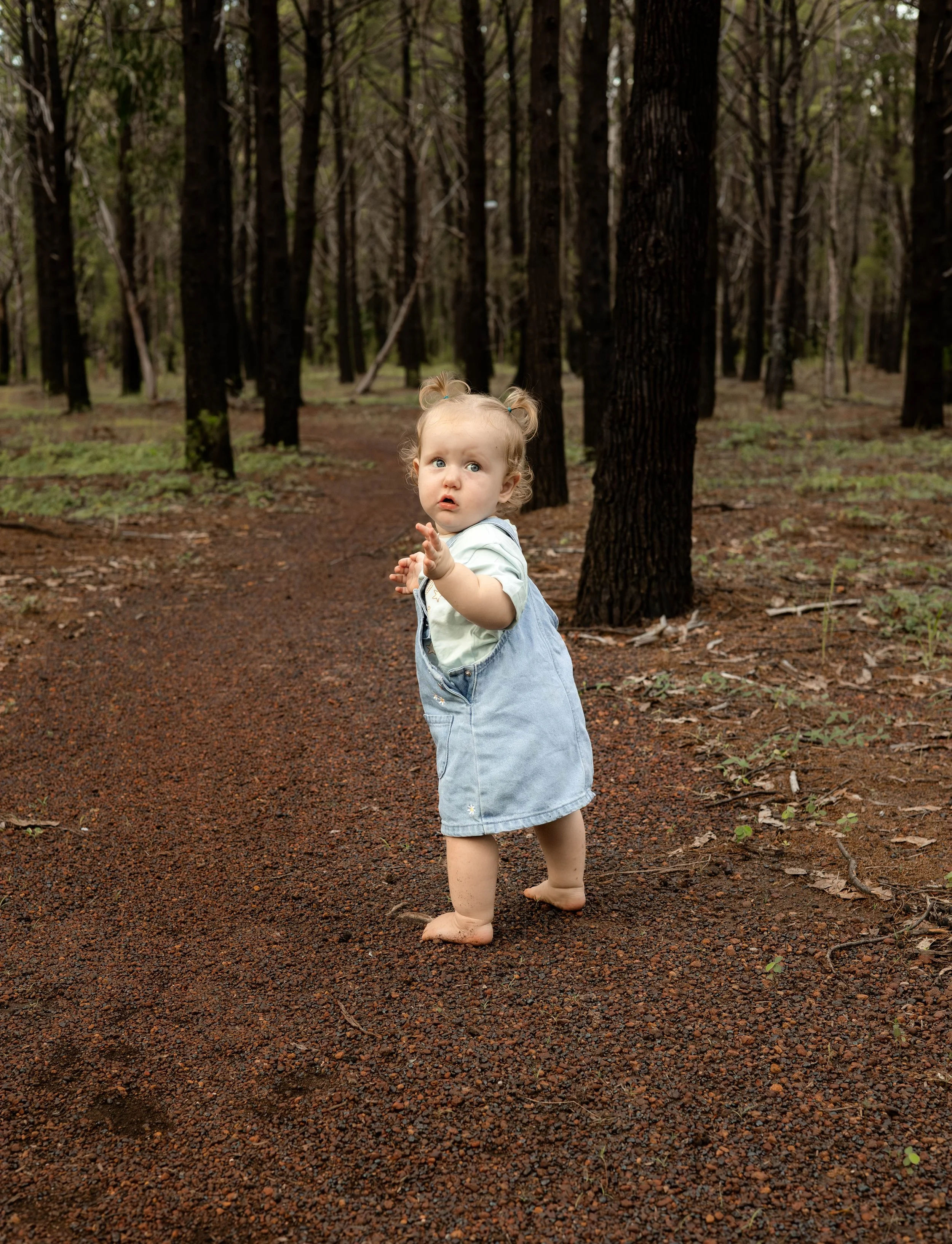 Snedden Family - Old Pine Forest 17.01.2026-76.jpg