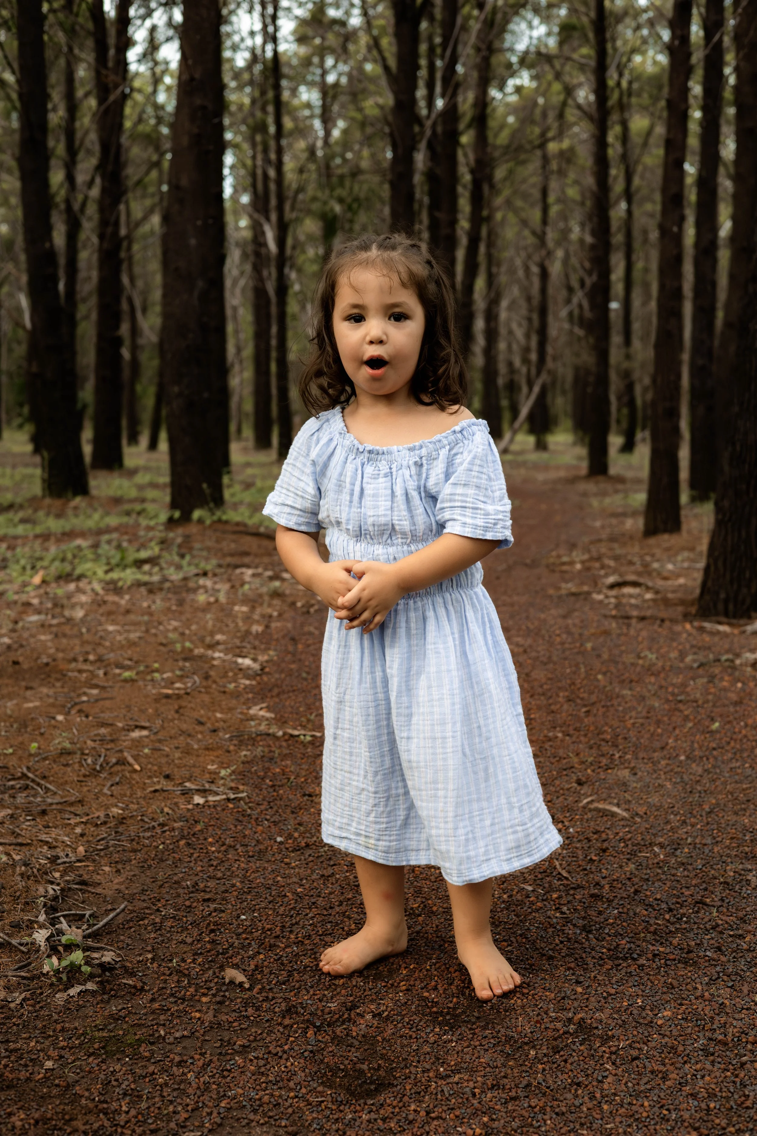 Snedden Family - Old Pine Forest 17.01.2026-67.jpg