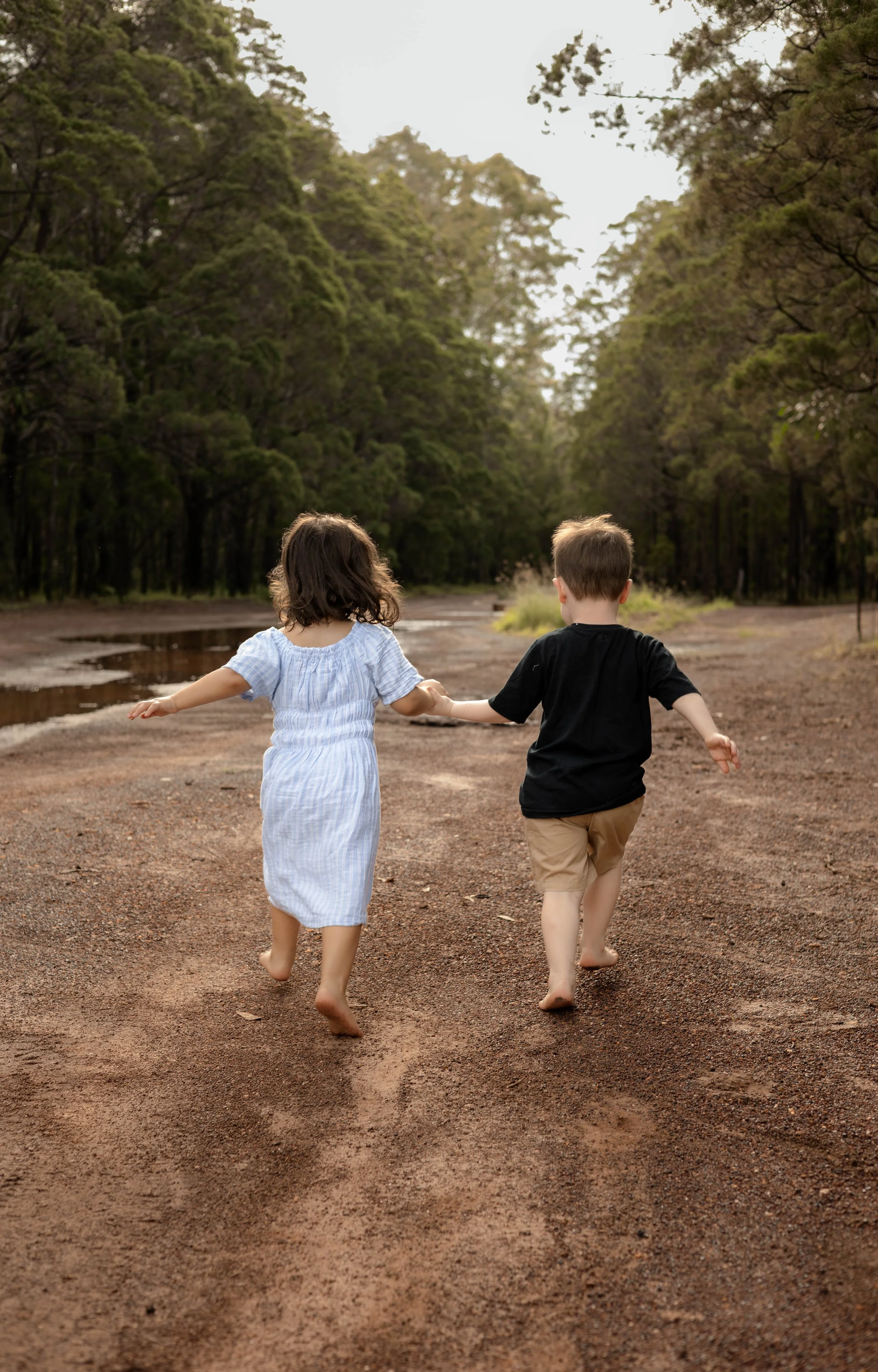 Snedden Family - Old Pine Forest 17.01.2026-10.jpg