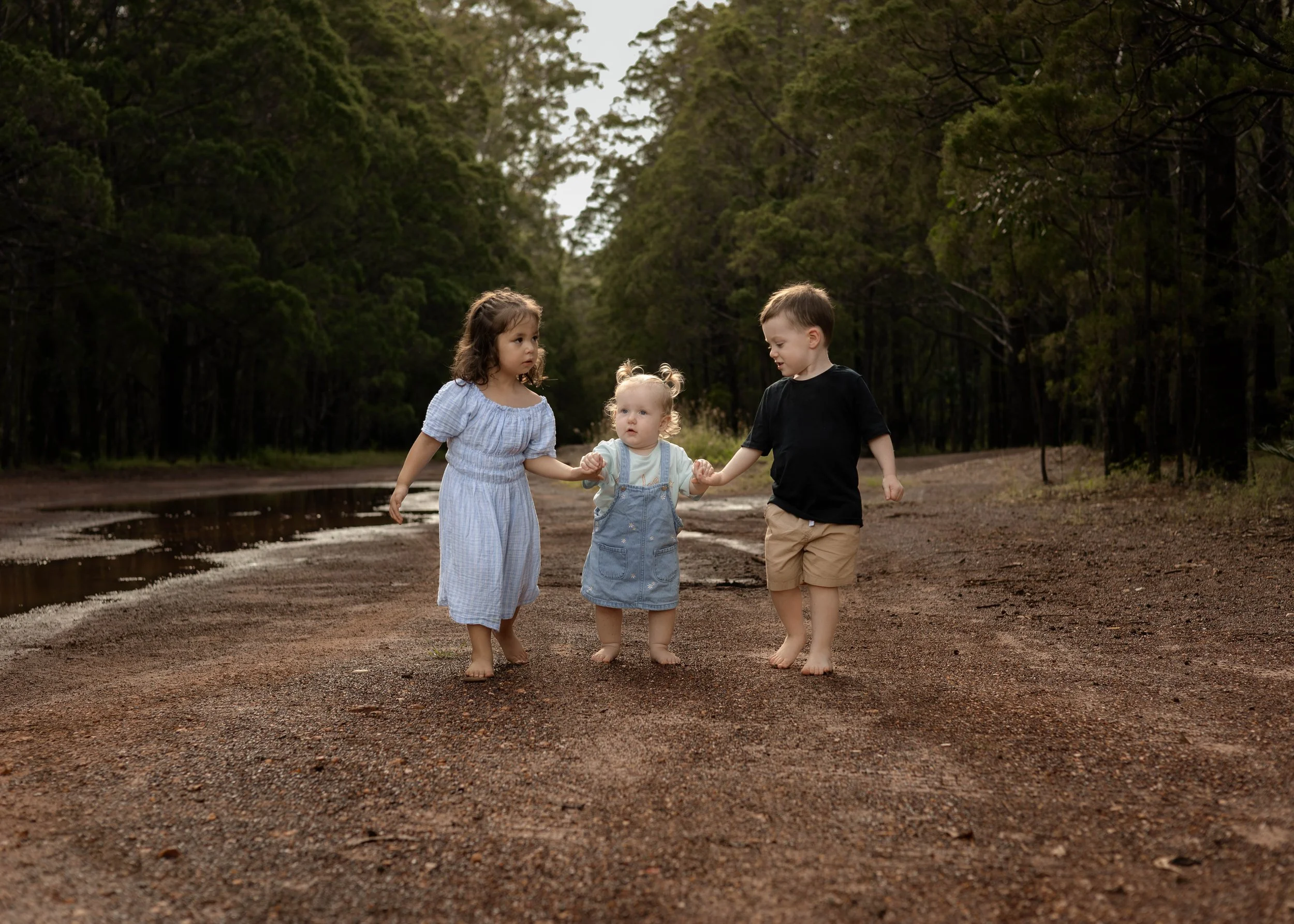Snedden Family - Old Pine Forest 17.01.2026-19.jpg