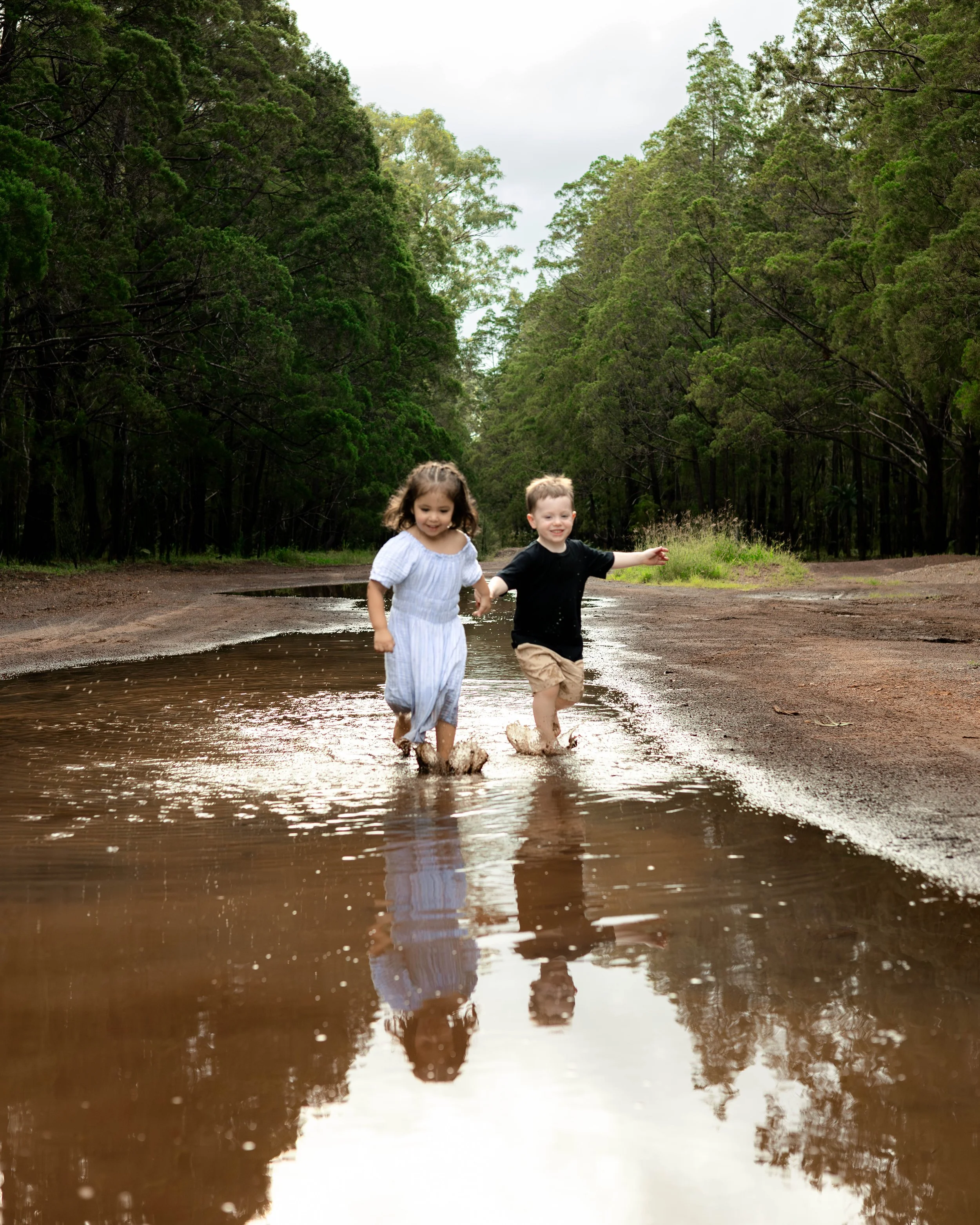 Snedden Family - Old Pine Forest 17.01.2026-89.jpg