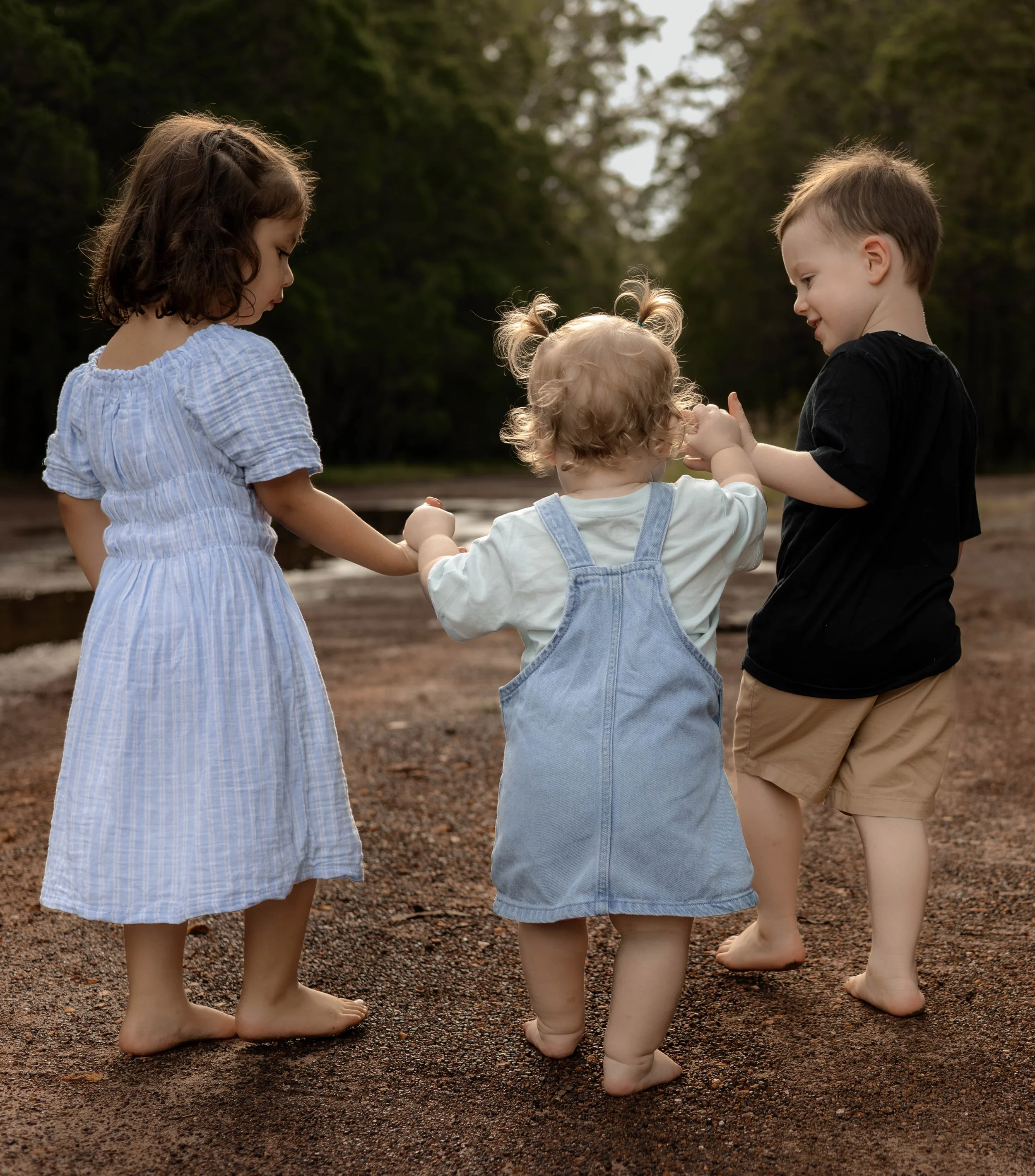 Snedden Family - Old Pine Forest 17.01.2026-16.jpg