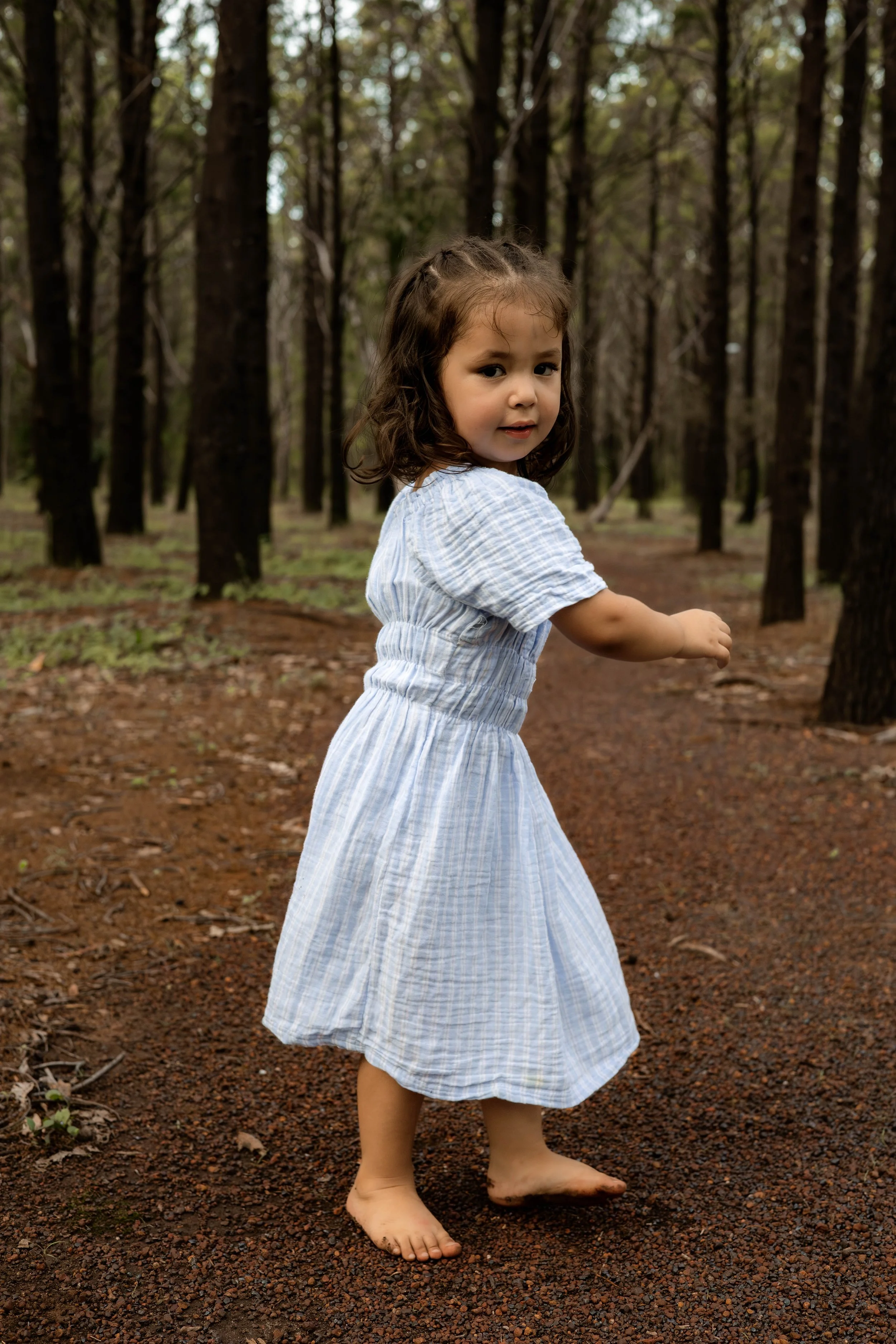 Snedden Family - Old Pine Forest 17.01.2026-65.jpg