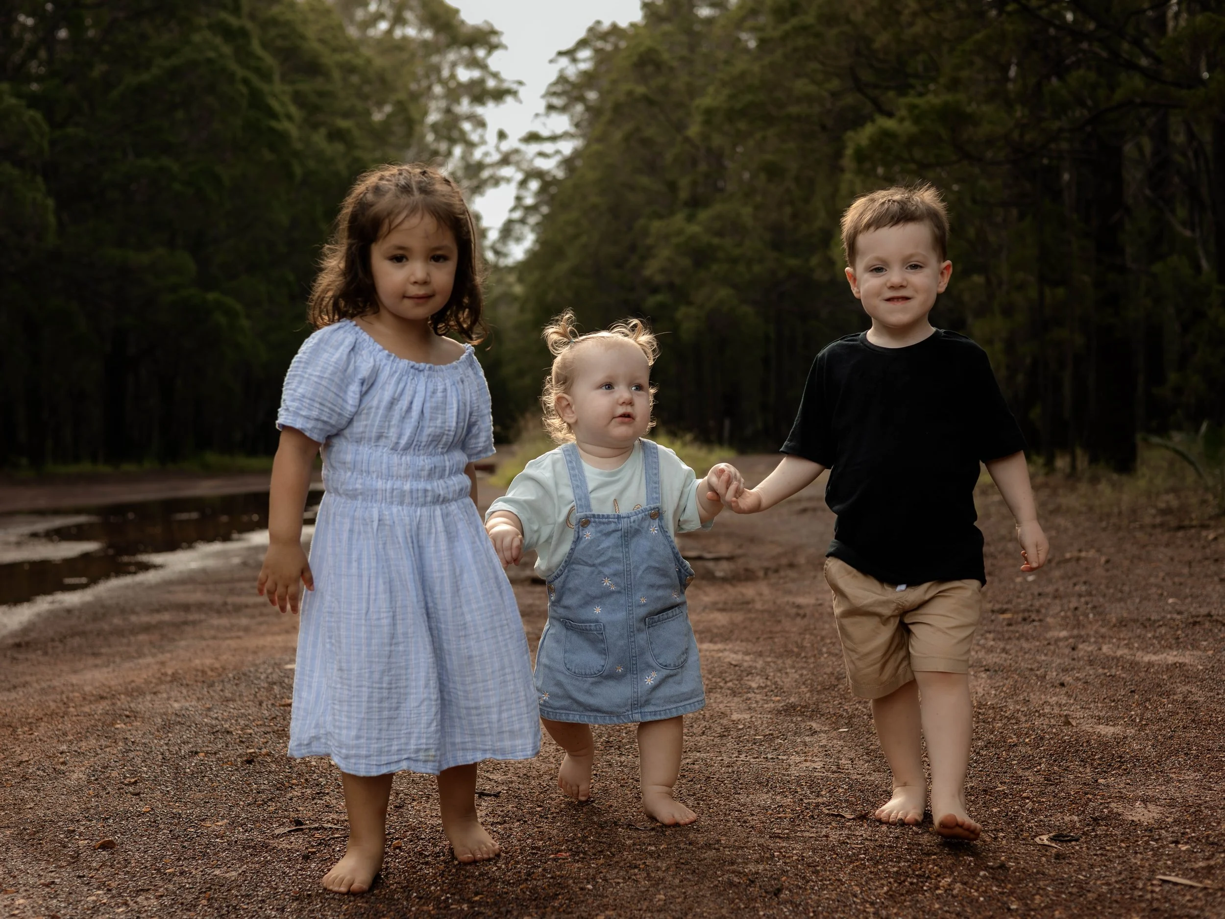 Snedden Family - Old Pine Forest 17.01.2026-23.jpg
