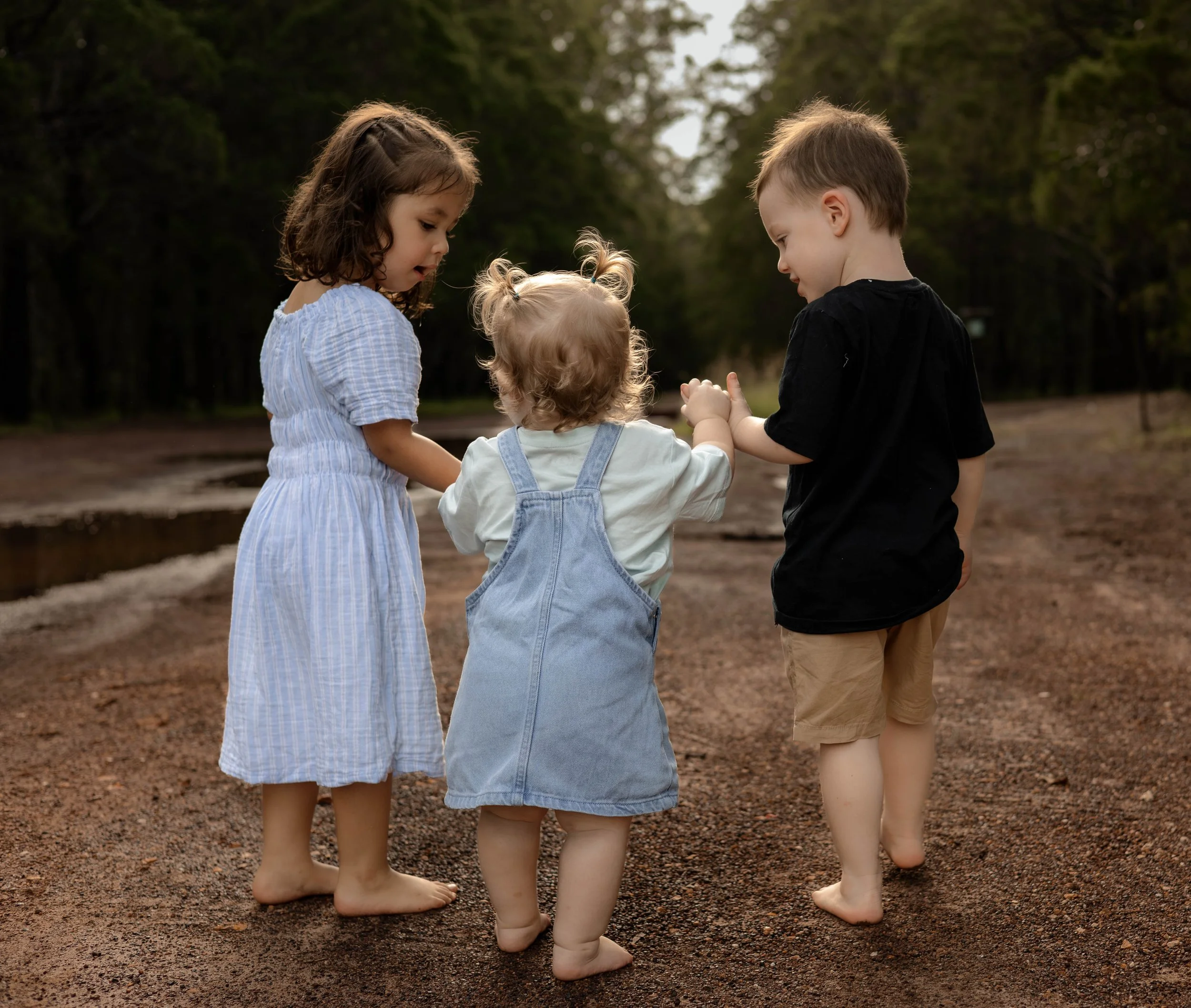 Snedden Family - Old Pine Forest 17.01.2026-14.jpg