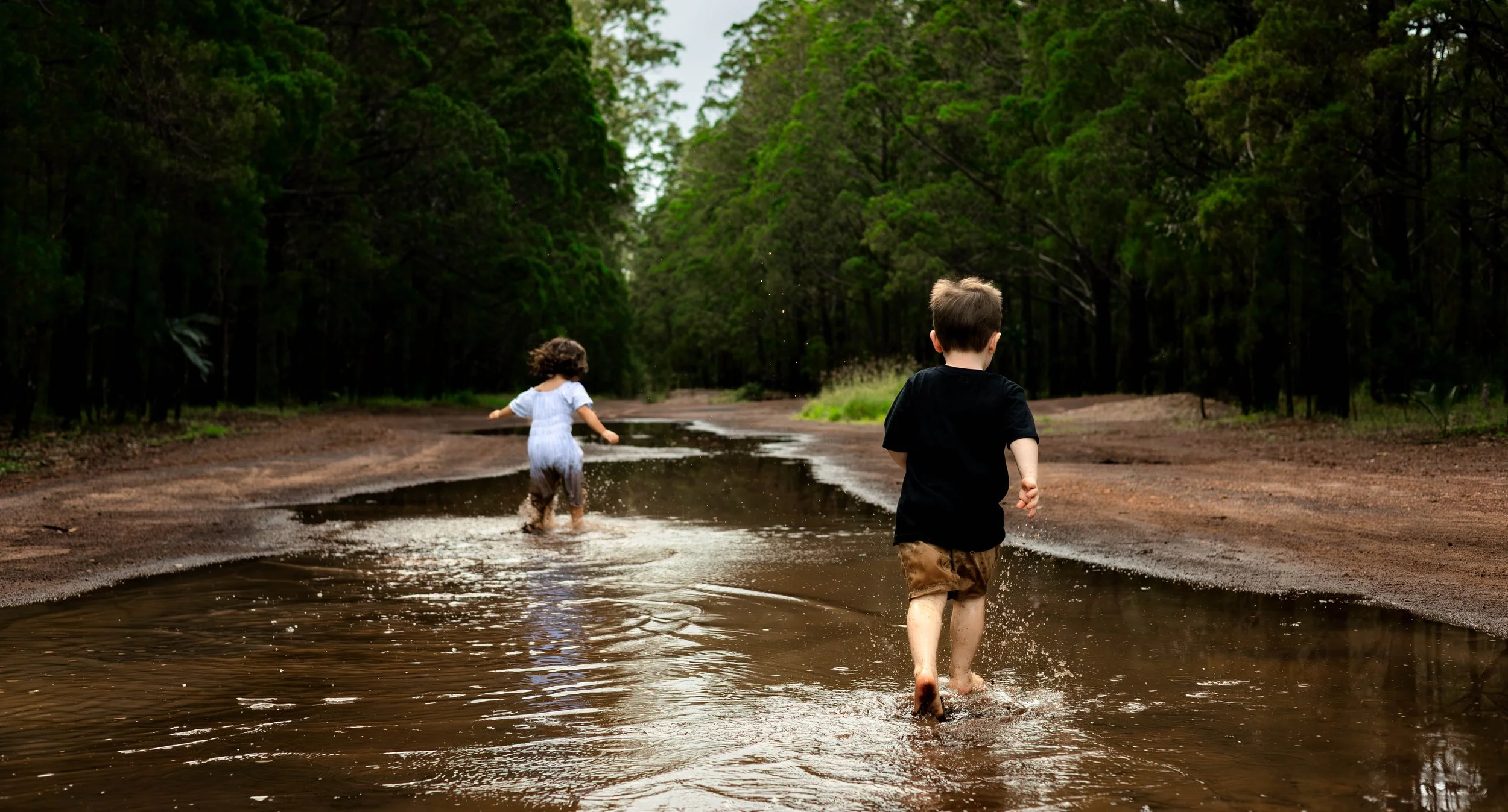 Snedden Family - Old Pine Forest 17.01.2026-98.jpg