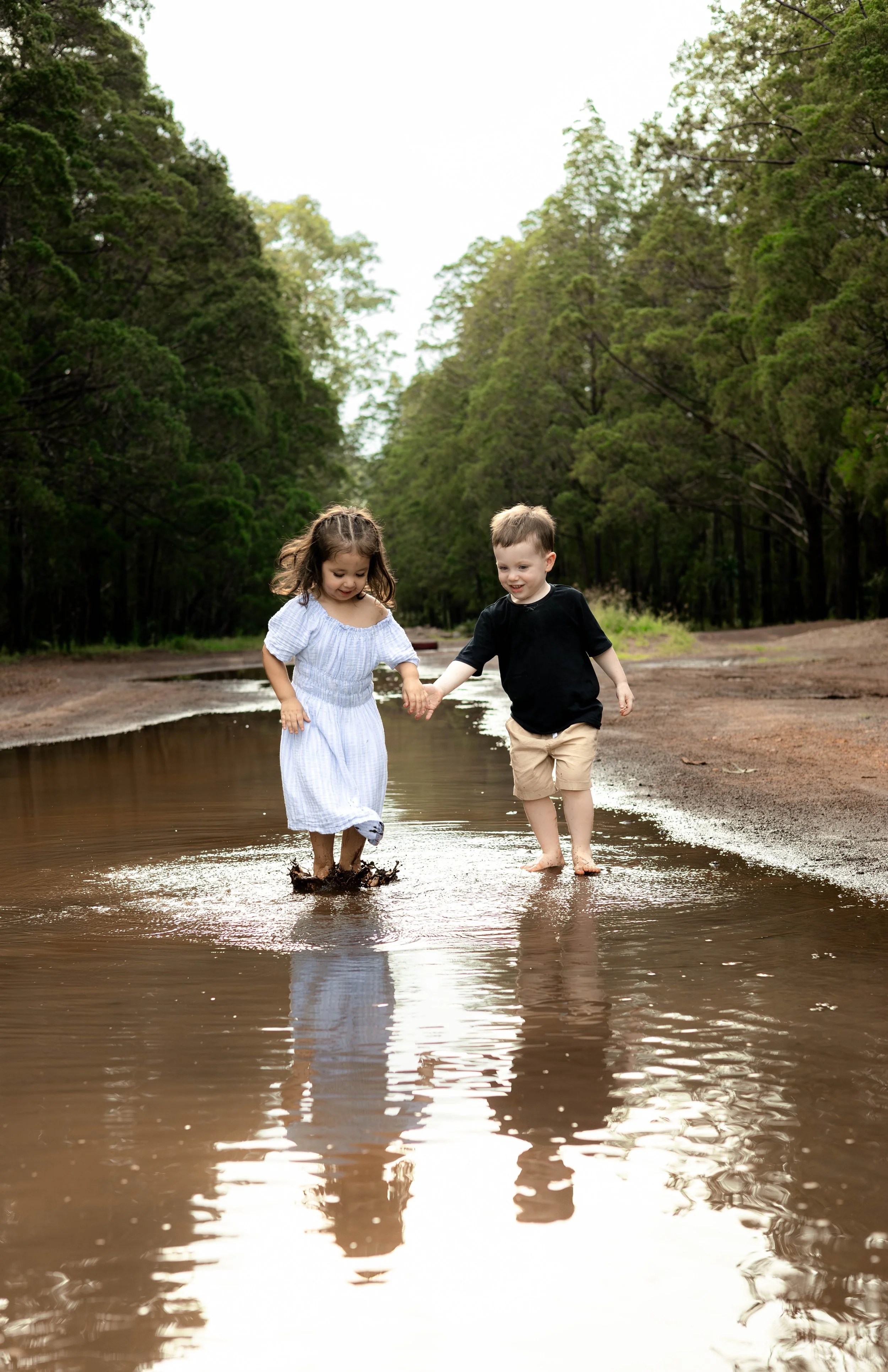 Snedden Family - Old Pine Forest 17.01.2026-81.jpg