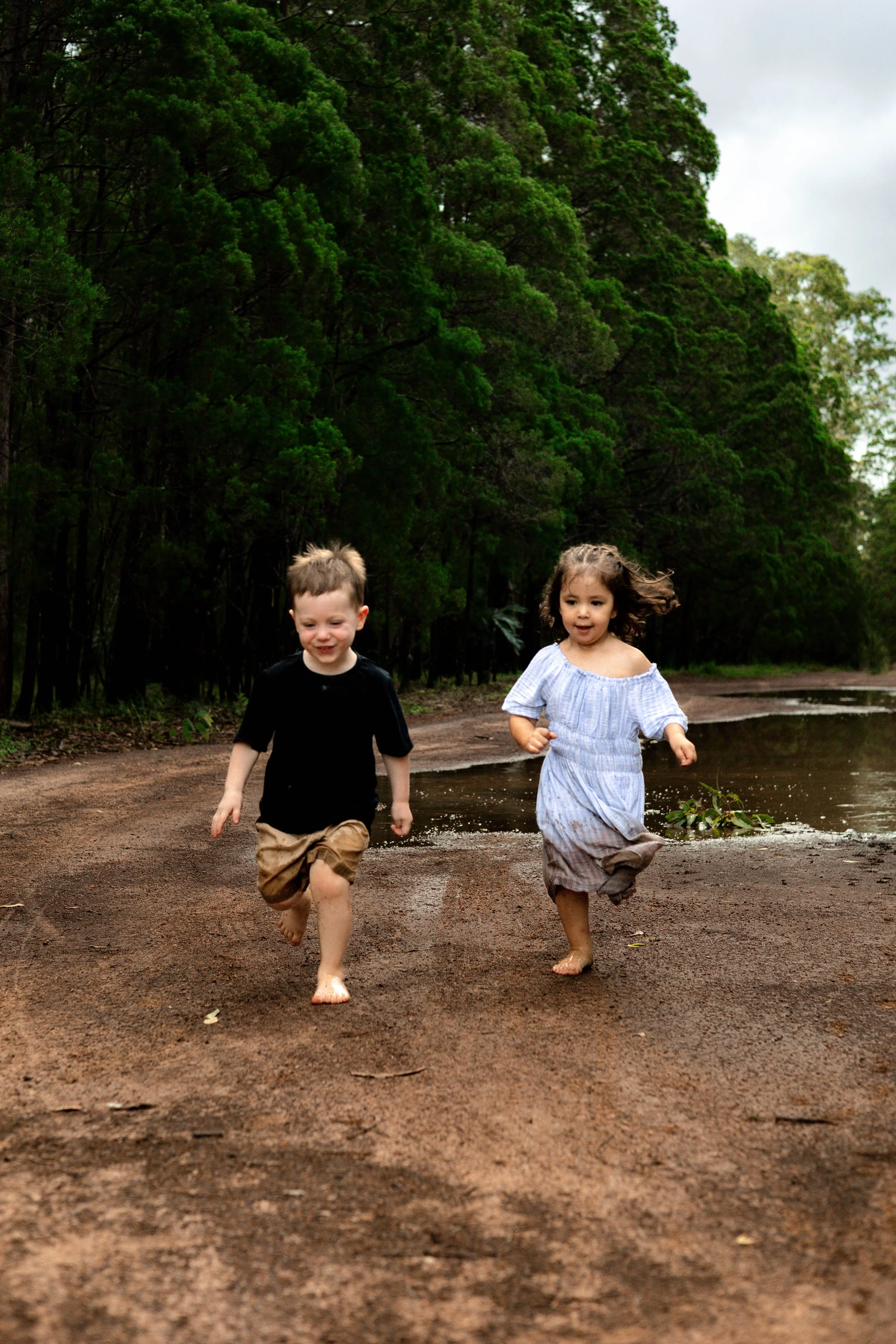 Snedden Family - Old Pine Forest 17.01.2026-95.jpg