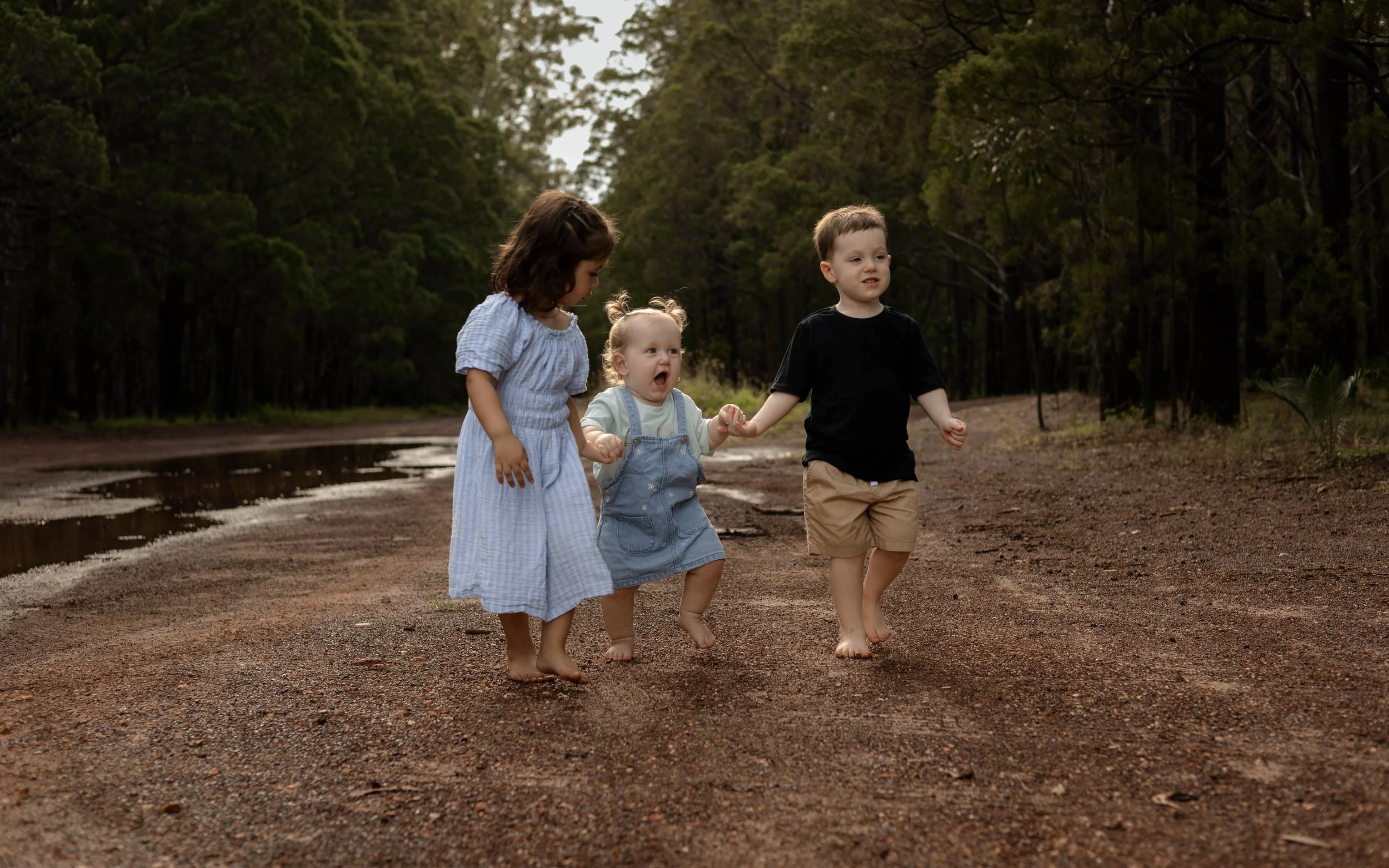 Snedden Family - Old Pine Forest 17.01.2026-21.jpg