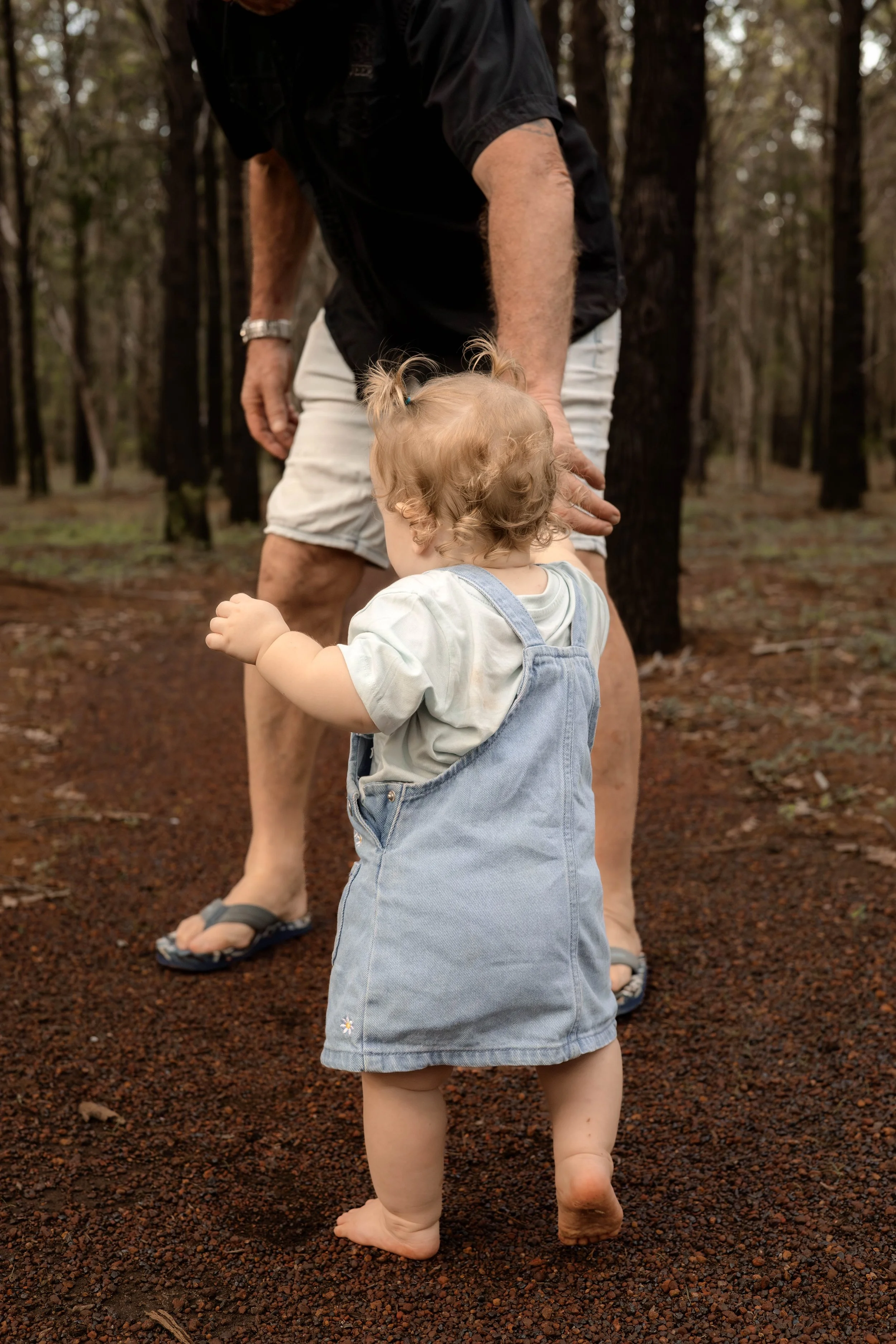 Snedden Family - Old Pine Forest 17.01.2026-70.jpg