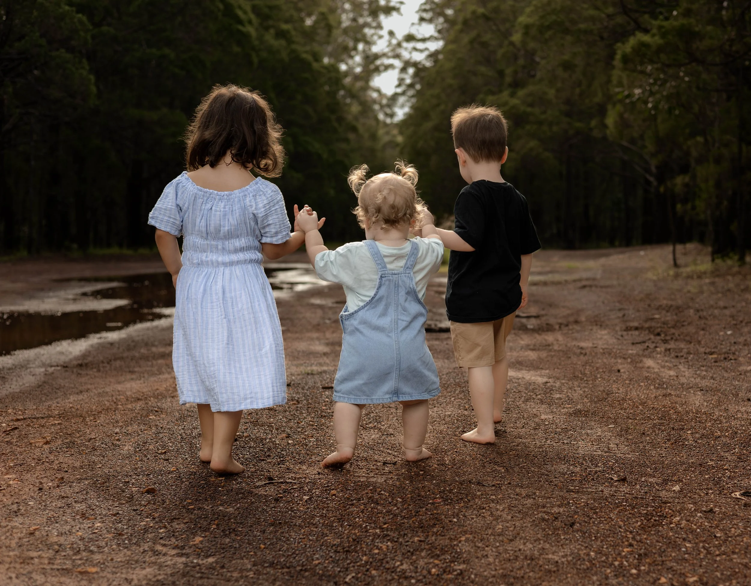 Snedden Family - Old Pine Forest 17.01.2026-18.jpg