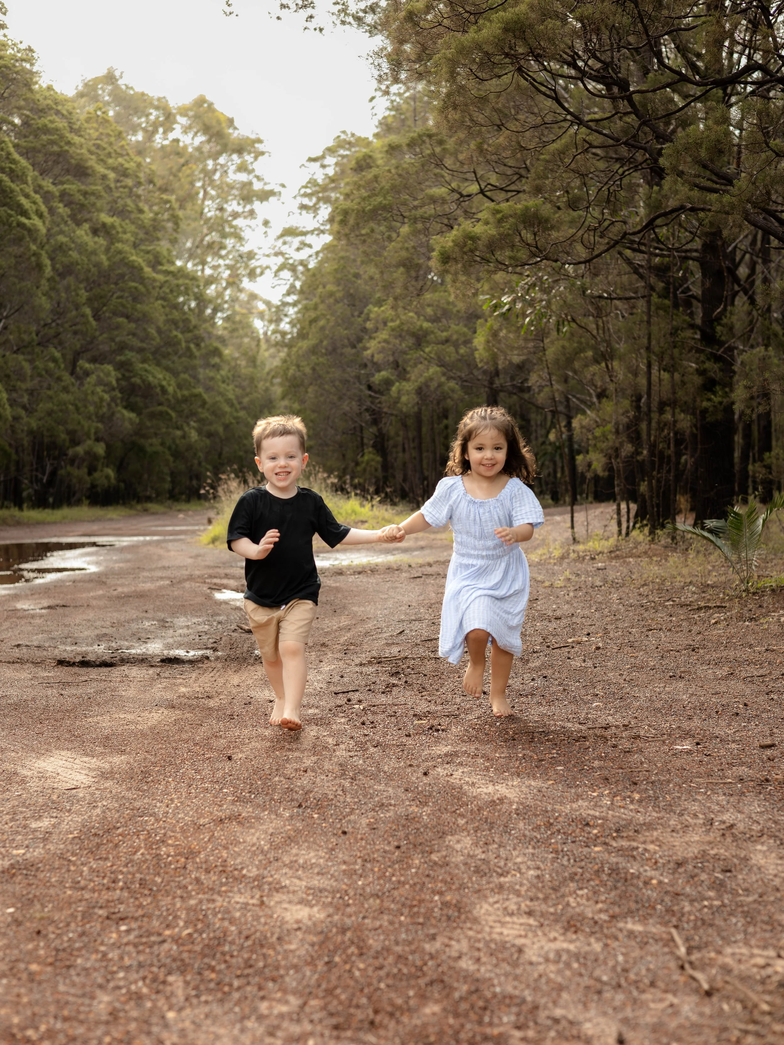 Snedden Family - Old Pine Forest 17.01.2026-12.jpg