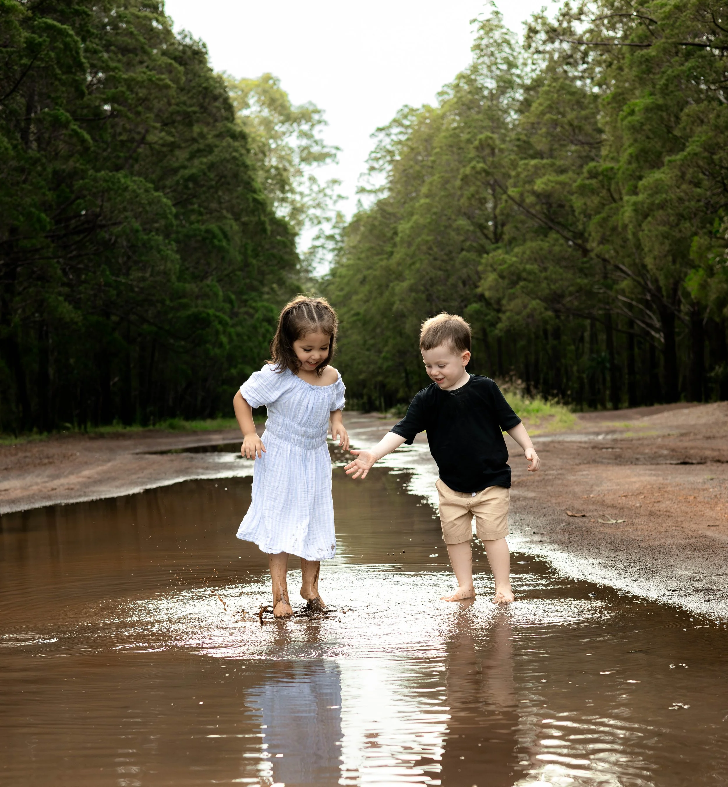 Snedden Family - Old Pine Forest 17.01.2026-80.jpg