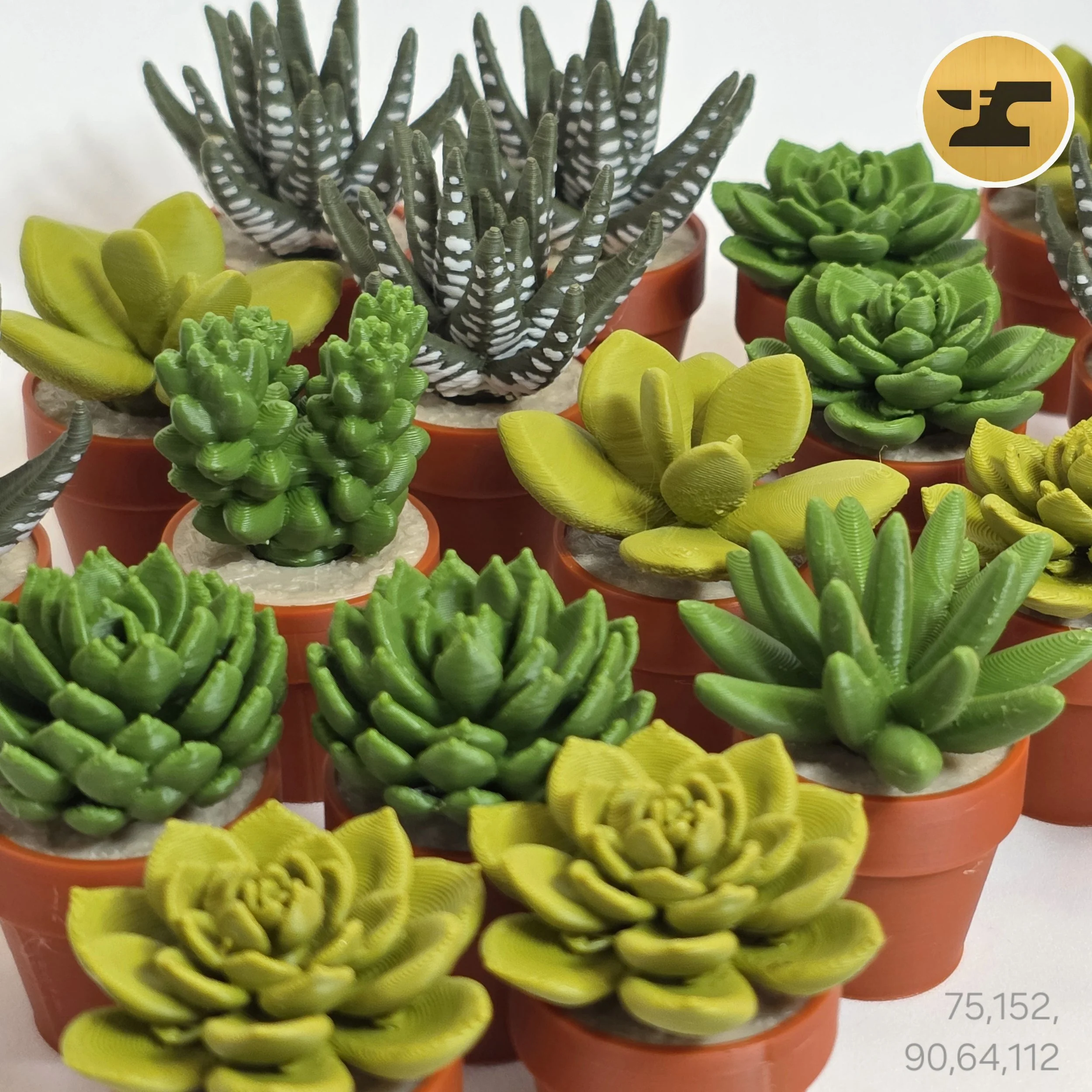 20260403_202318 (2).jpg