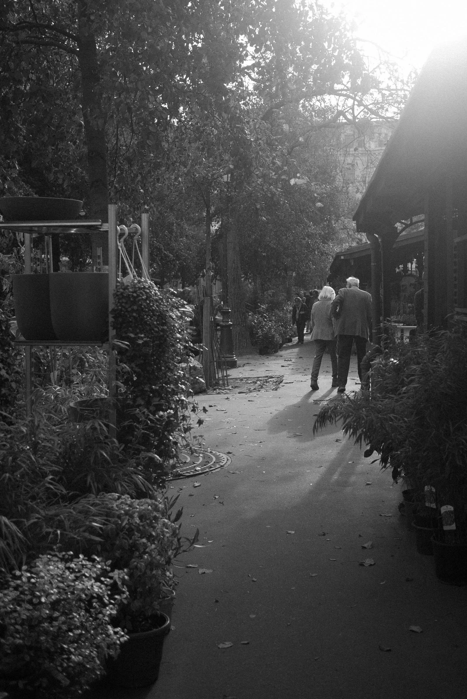 Family gathered in garden for meaningful end-of-life celebration with palliative care support