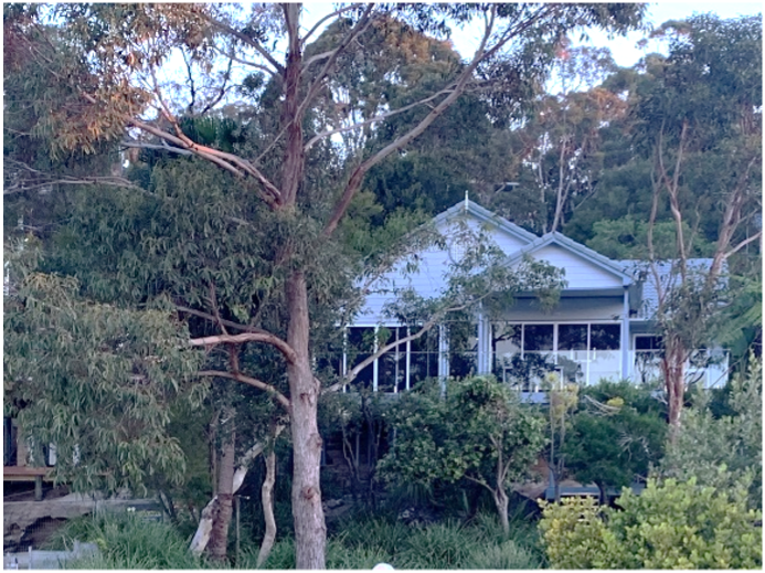 A house with a white exterior and large windows, surrounded by trees and greenery in a wooded area.