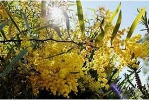 Our God of Surprises