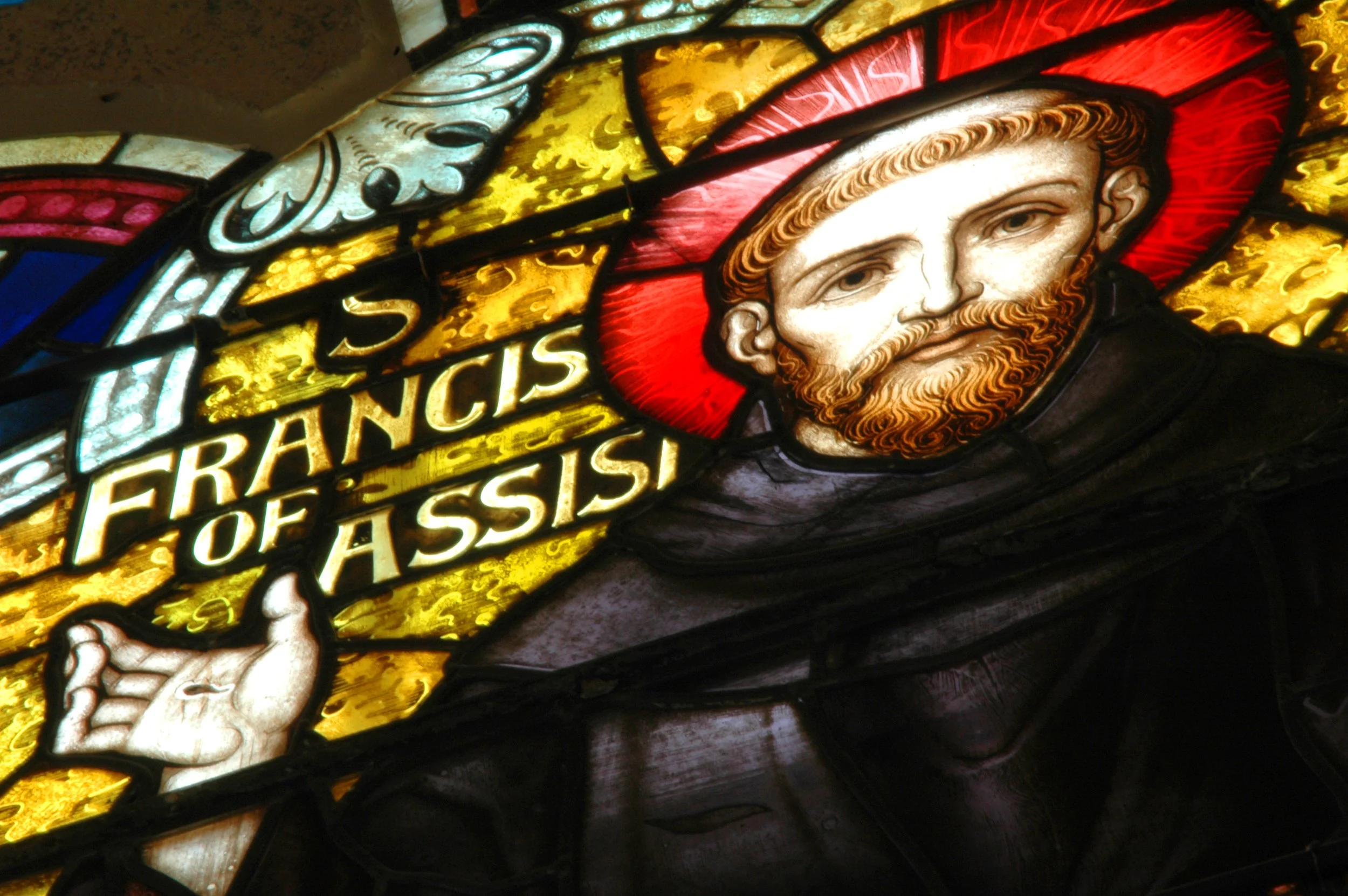 Why the Spirituality of St Francis is still Relevant today