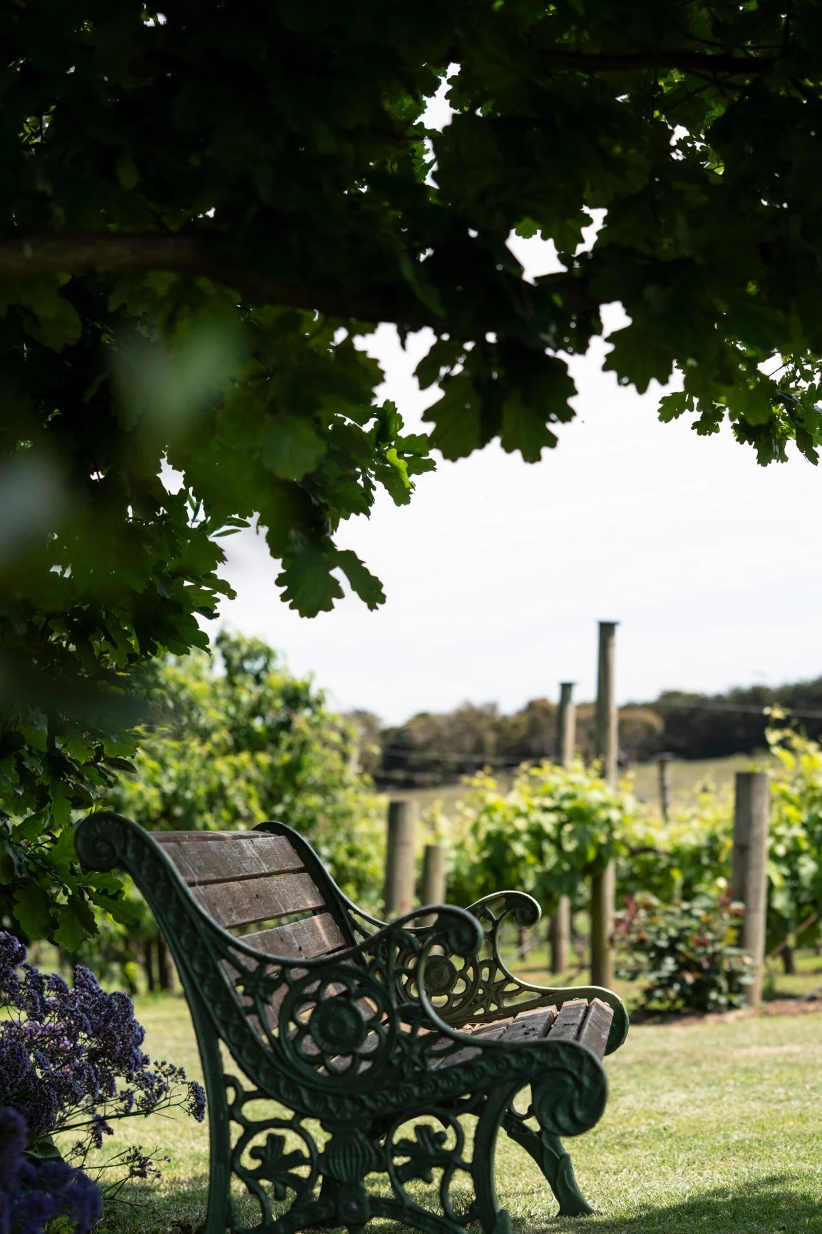Chair in the garden at Henley Ridge small batch wines Bellarine