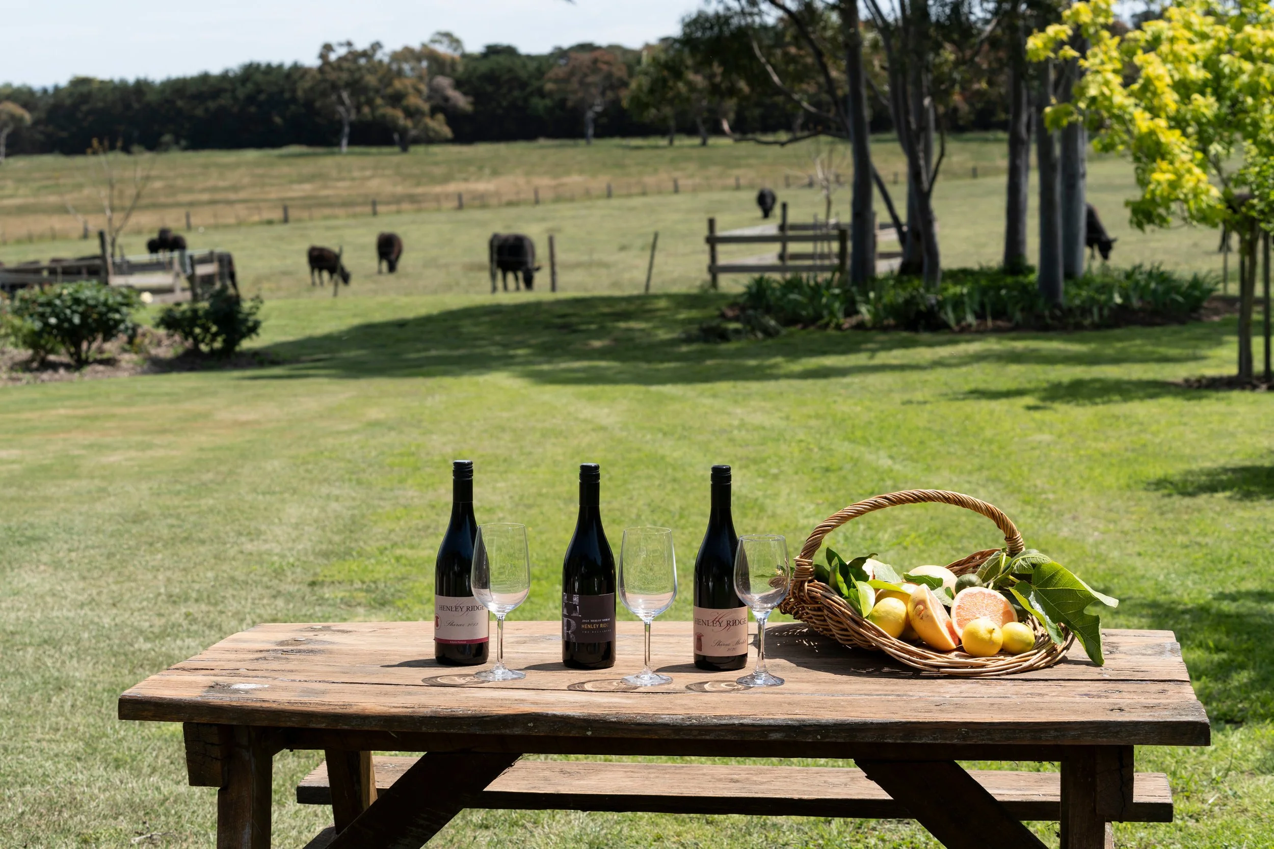 Wine on table with views of the farm at Henley R Wines Micro vineyard Bellarine