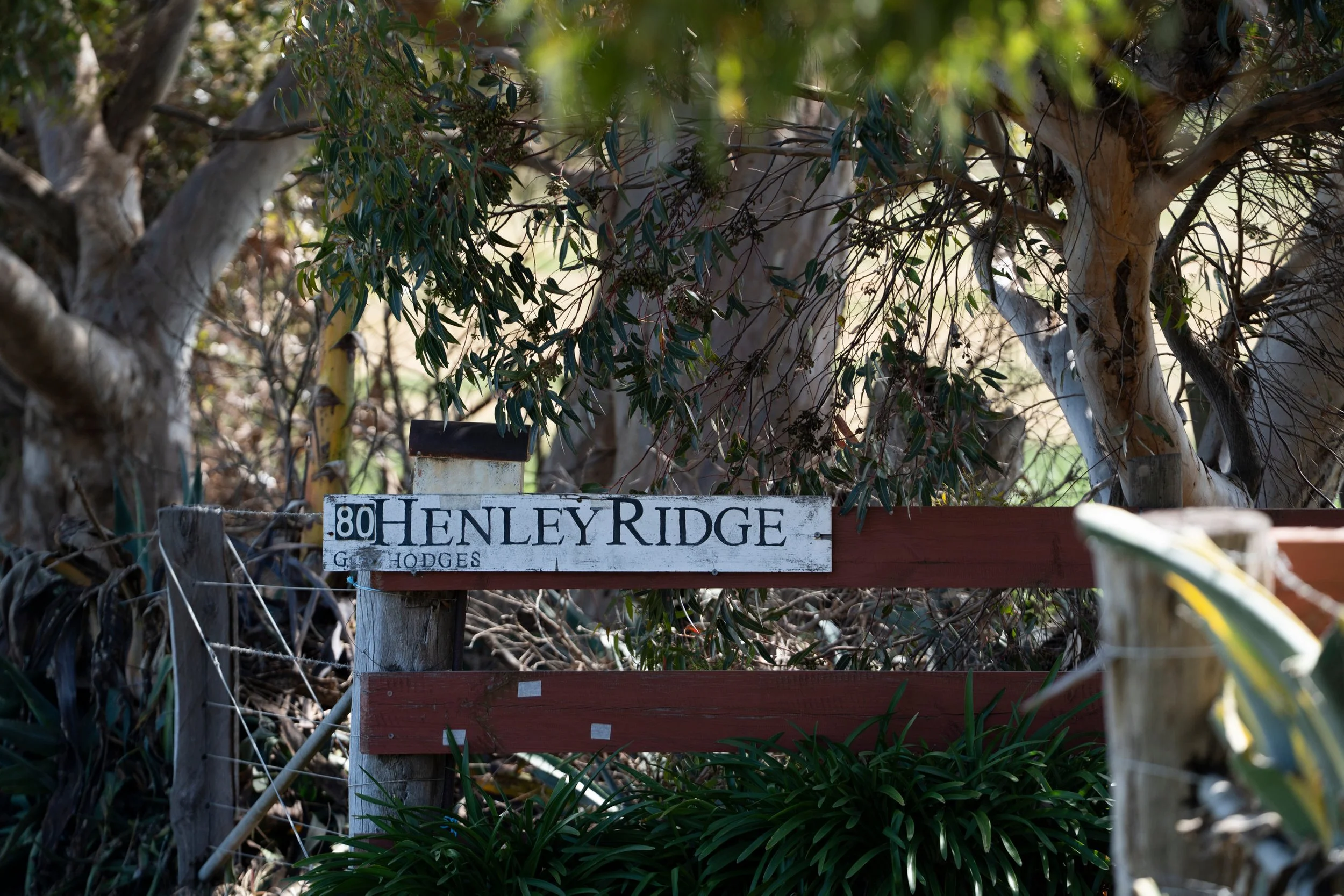 Entry Sign to Henley Ridge Wines The Bellarine Geelong.jpg