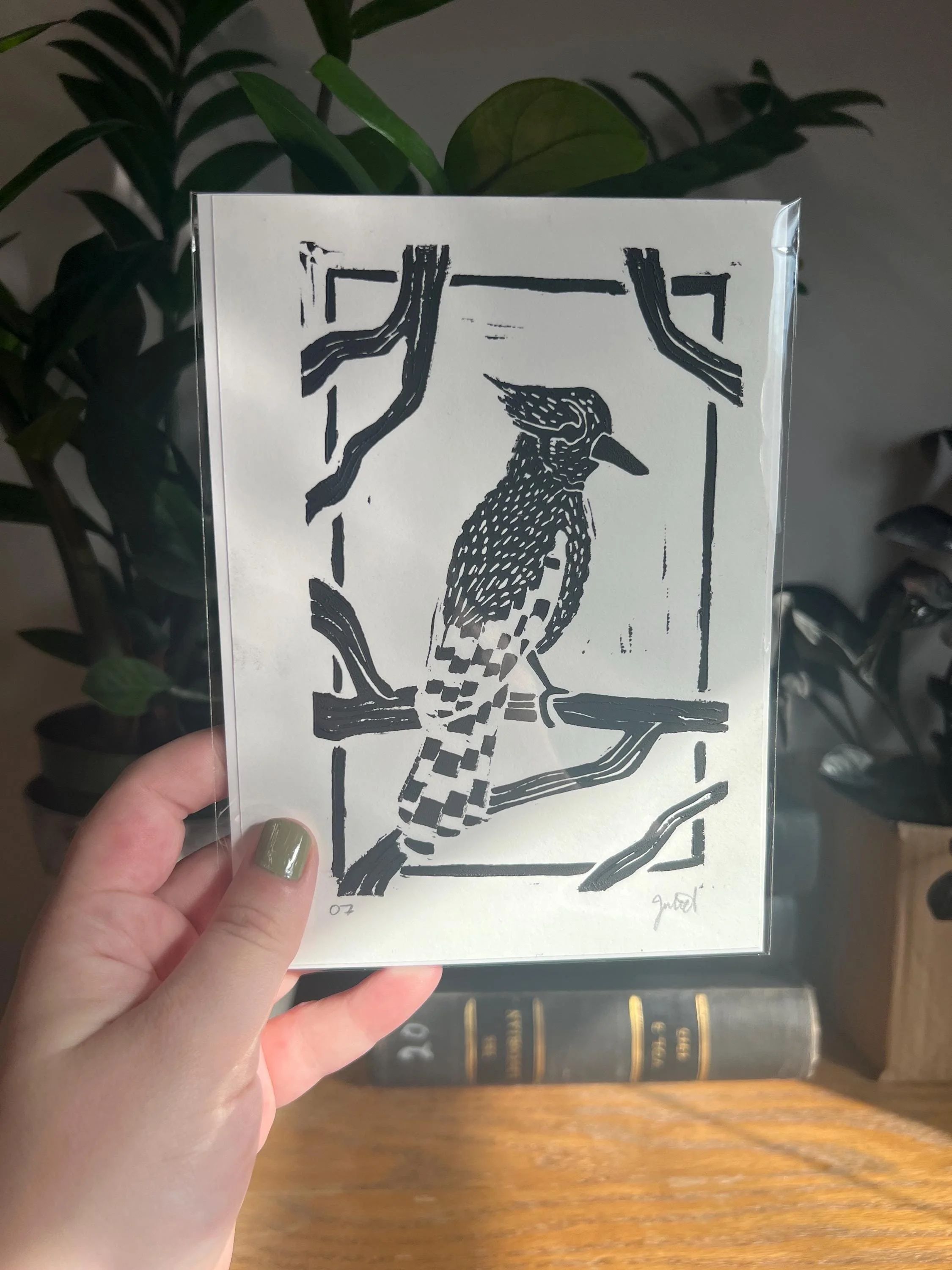 Real Things Club: United States