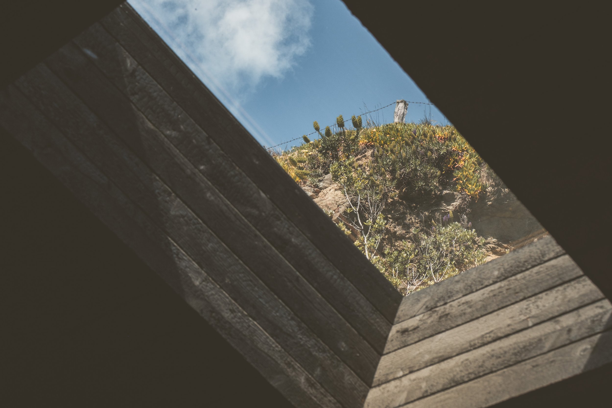 View of blue sky, white clouds, and desert plants seen through a wooden window opening.