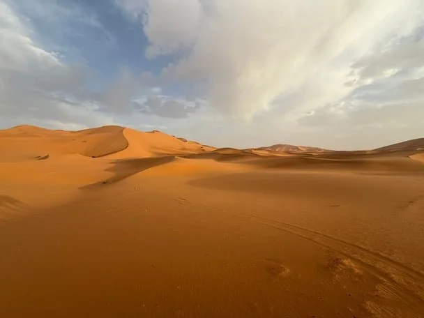 SaharaDesertdunes_1760667300269.jpeg