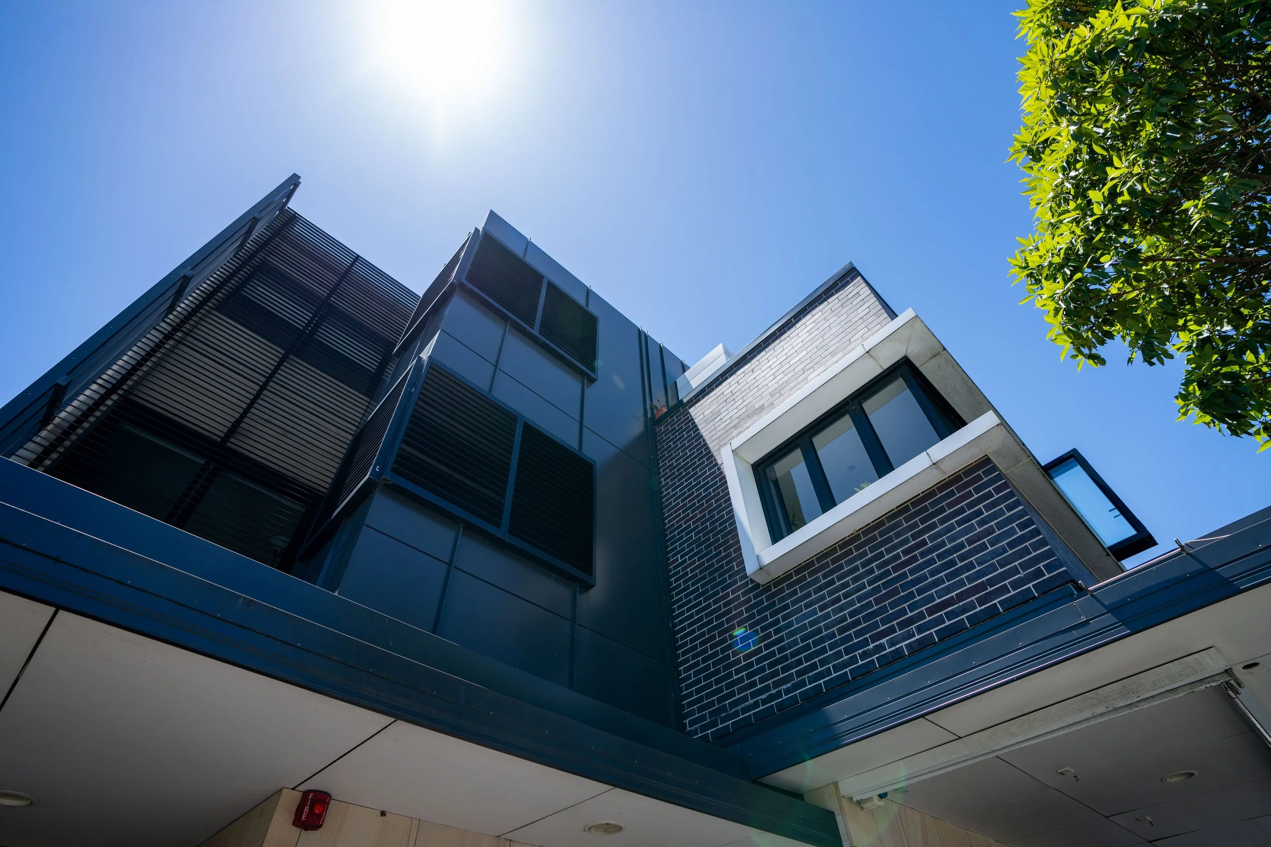 _DSC8483_January 21, 2024_LR.jpg