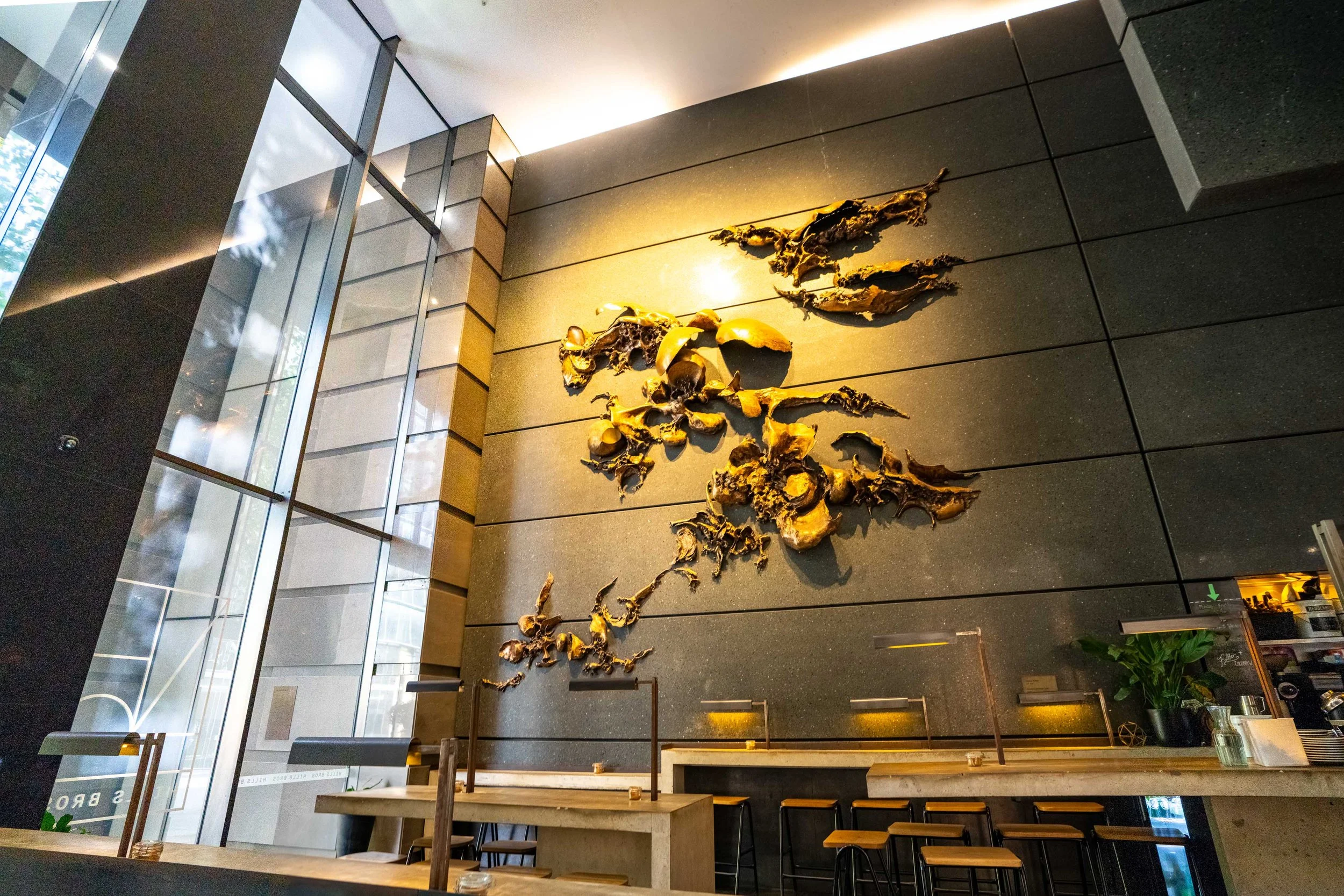 _DSC0815-HDR_January 29, 2024_LR.jpg