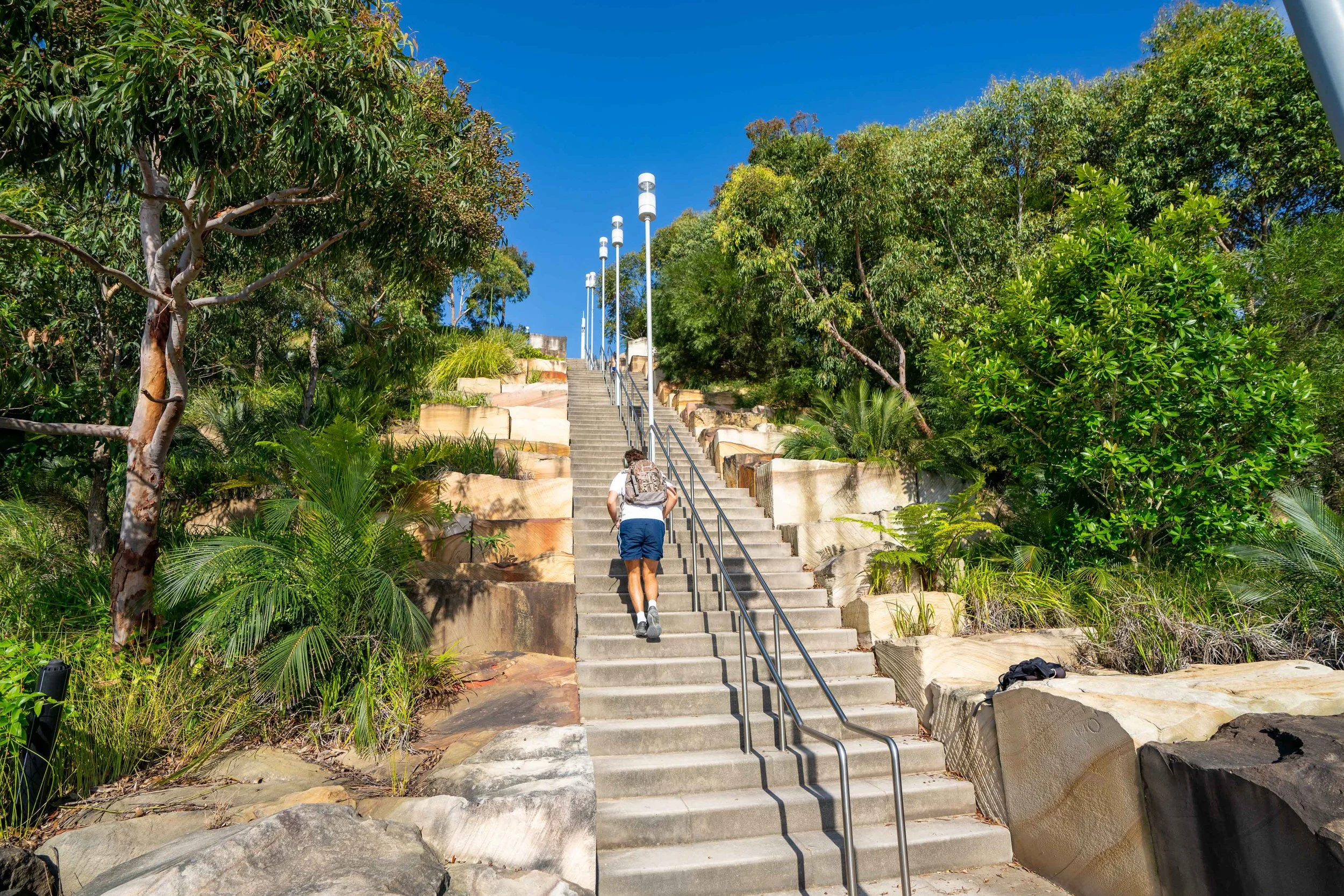 _DSC0532-HDR_January 29, 2024_LR.jpg