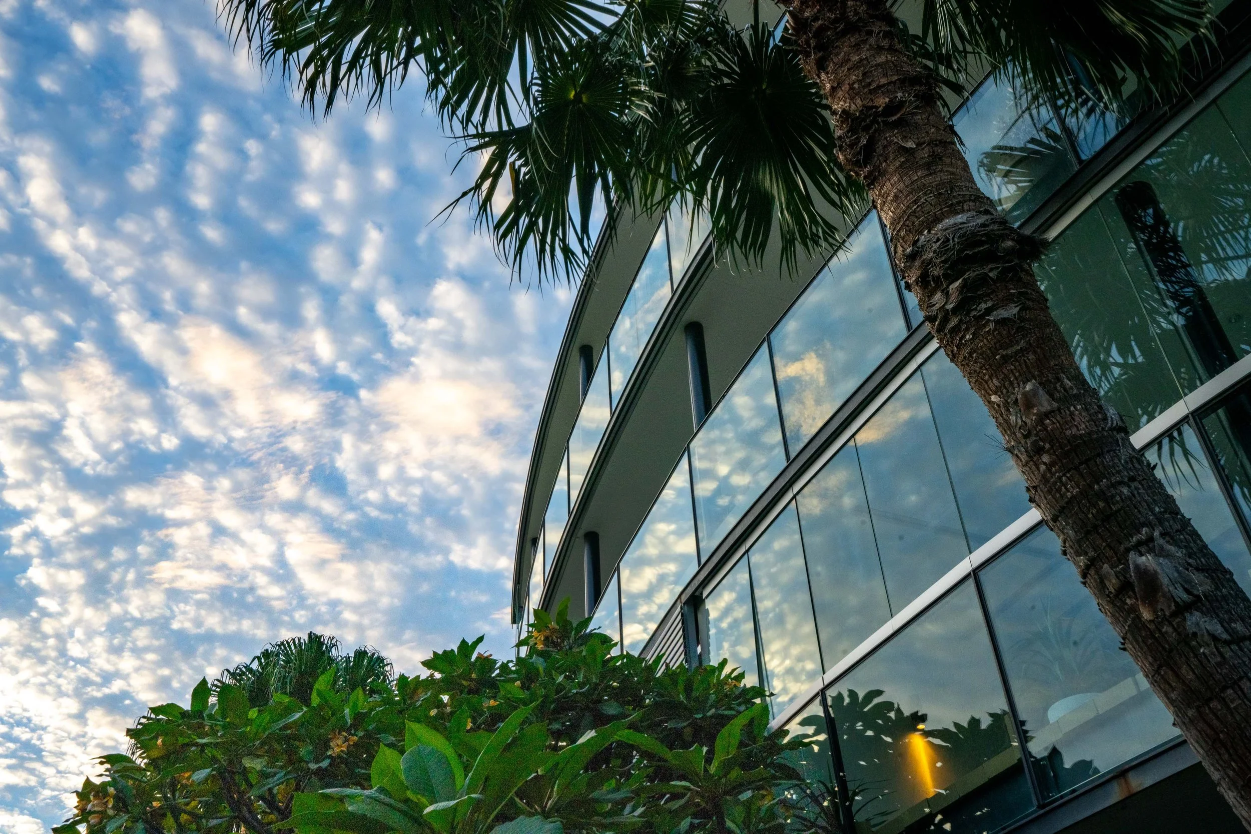 _DSC9553-HDR_January 26, 2024_LR.jpg