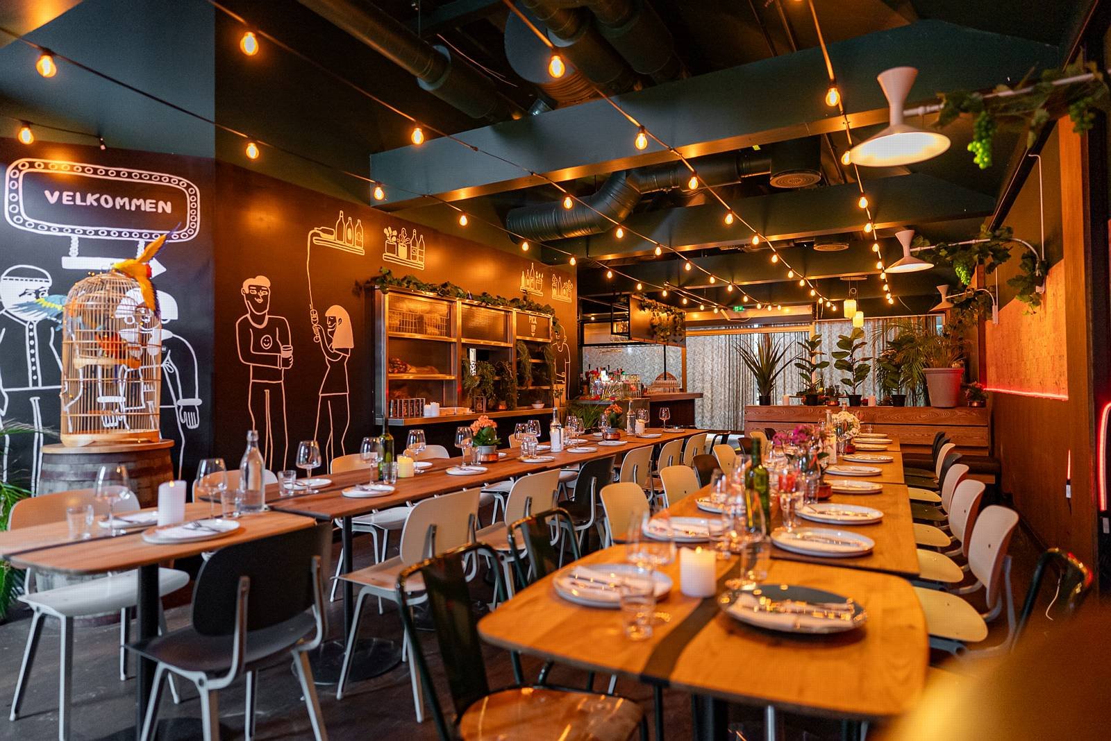 TAPA_TAPA_MONKEYTOWN_DSC09174 (1).jpg