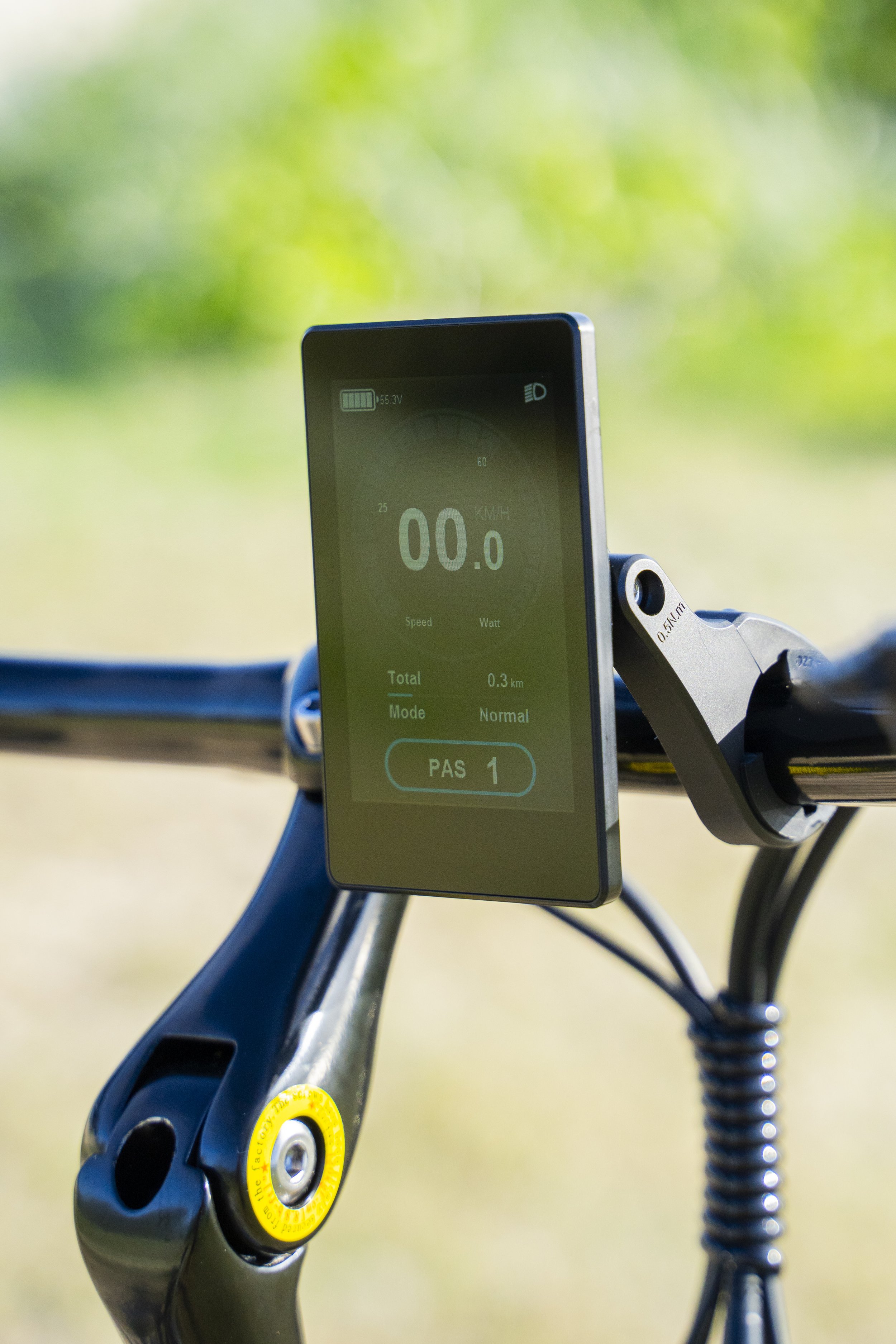 Close-up of an electronic bicycle display mounted on the handlebar, showing a speed of 00.0 km/h, with a background of blurred greenery.