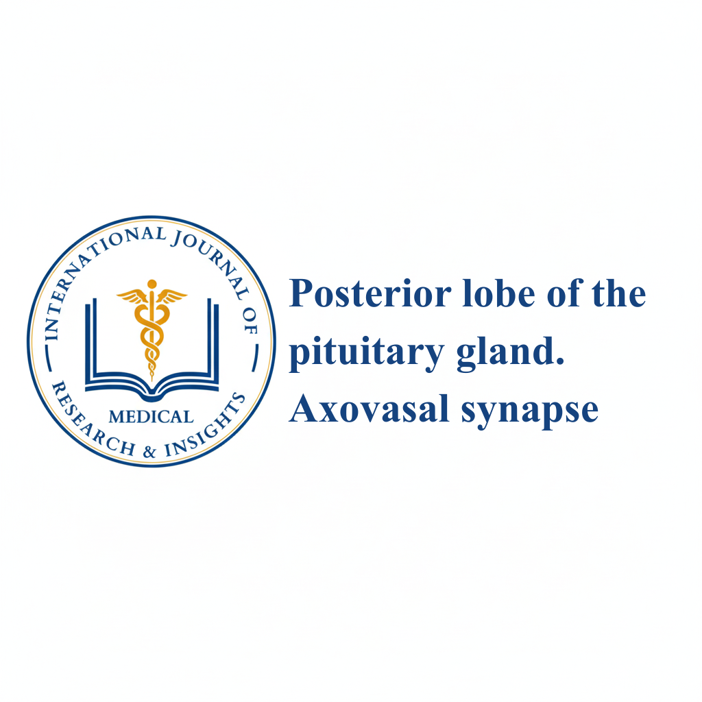 Posterior lobe of the pituitary gland. Axovasal synapse