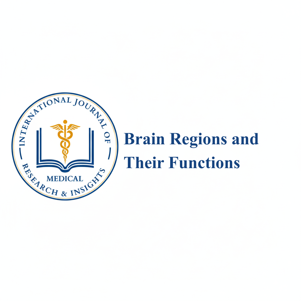Brain Regions and Their Functions