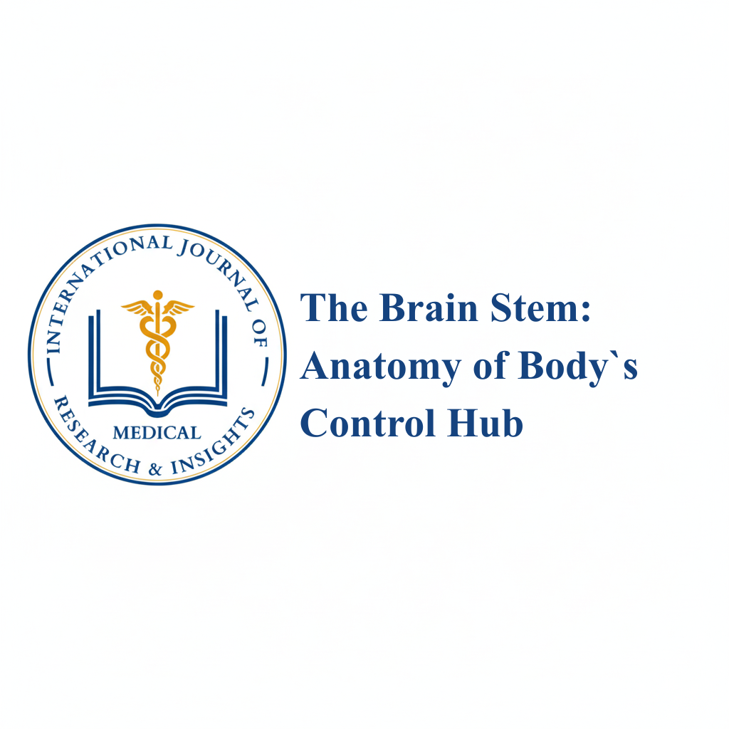 The Brain Stem: Anatomy of Body`s Control Hub