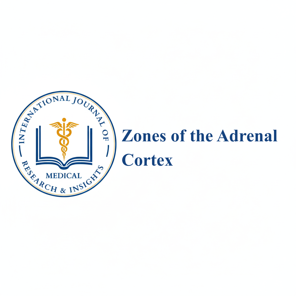 Zones of the Adrenal Cortex