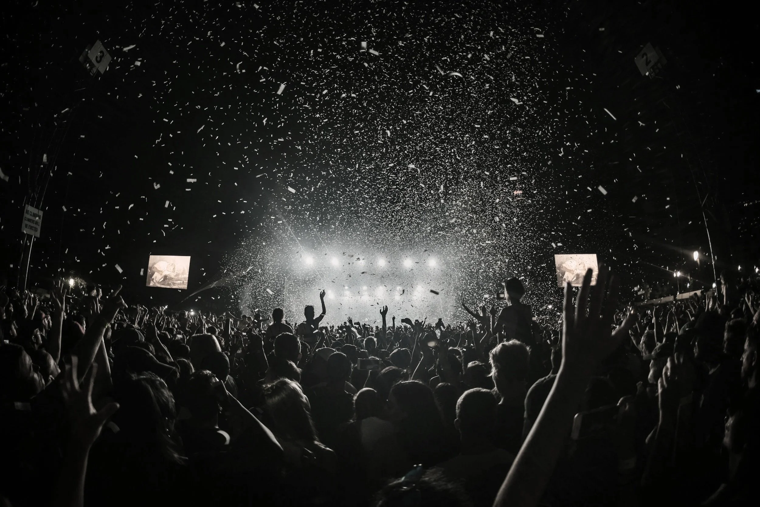 Amazing crowd 2050 professional DJ set New Zealand