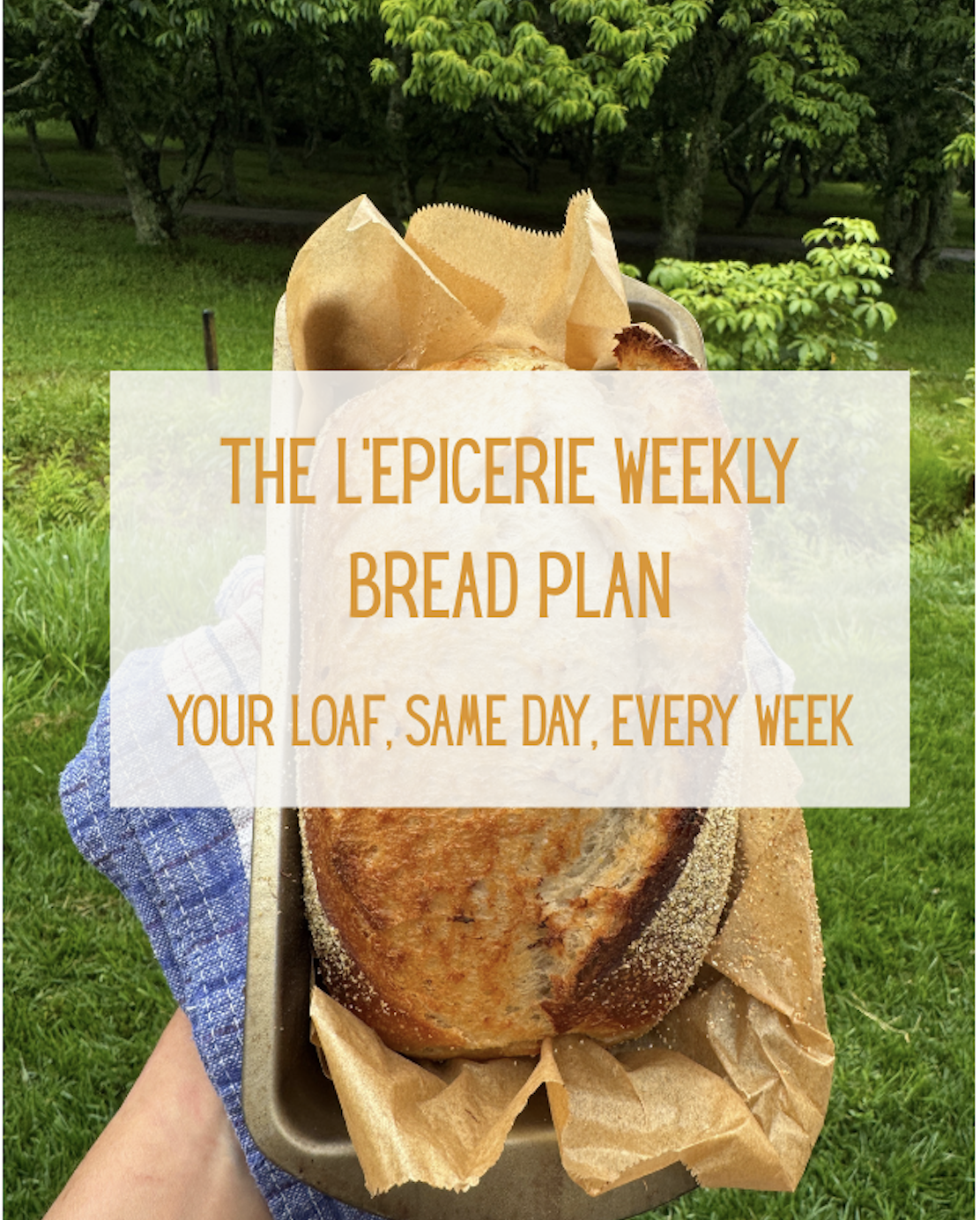 Screenshot 2025-11-27 at 4.45.21 PM.png