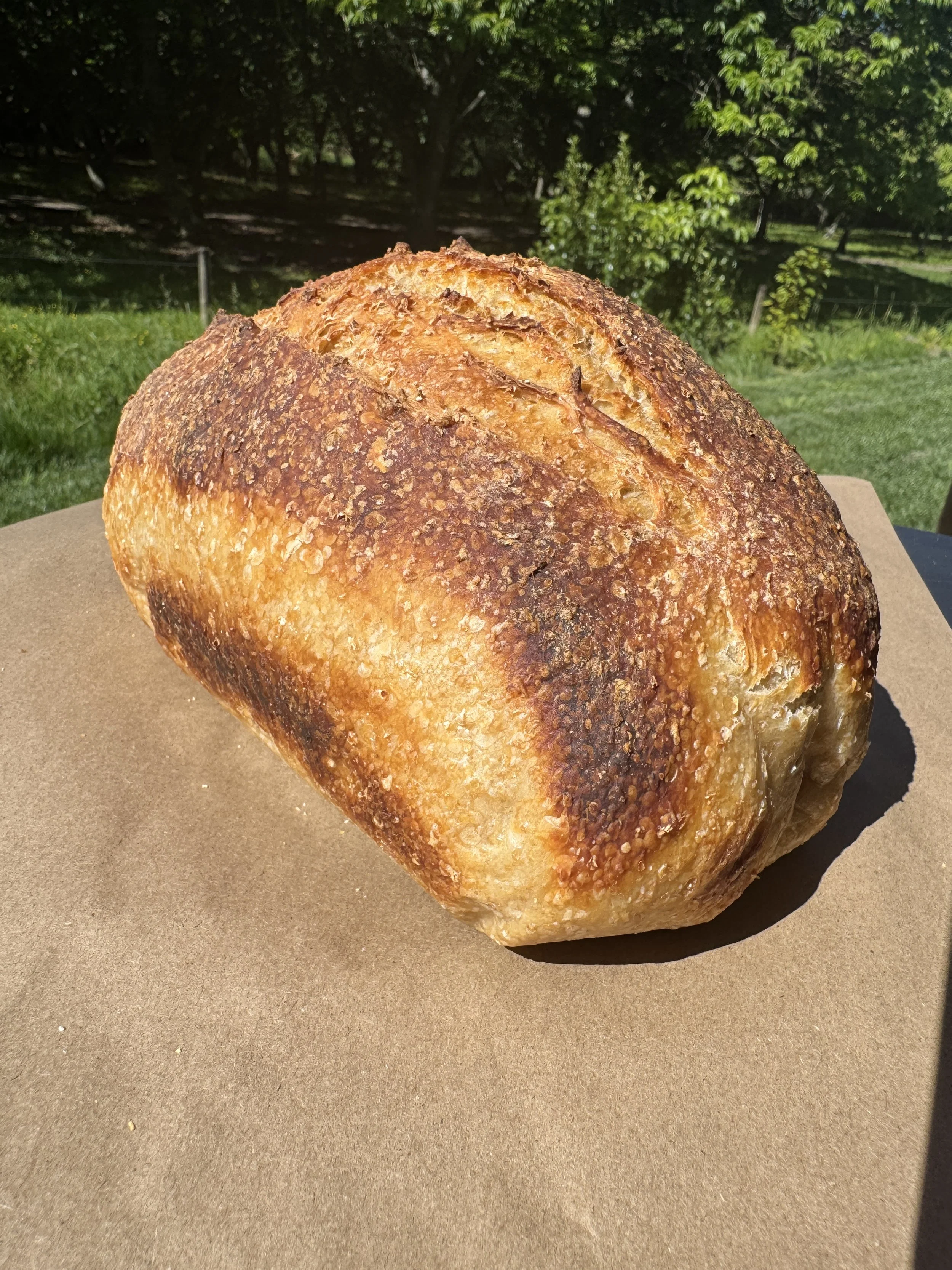 wholemeal sourdough bread lepicerie whakatane.JPG