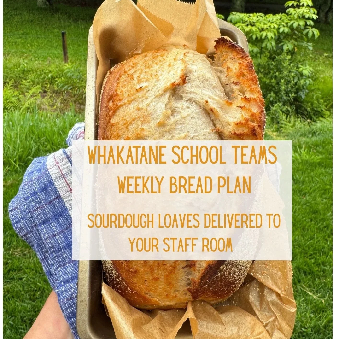 Weekly Sourdough Plan - Whakatane School Teams