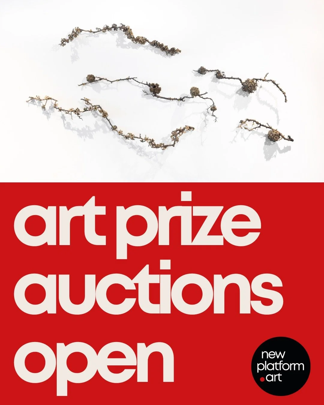 Following the award of this year's art prizes, our Sealed Bid Artwork Auctions are now live!

All shortlisted and exhibited artworks from this year&rsquo;s Professional Development Programme artist cohort are available to purchase via sealed bids.

M