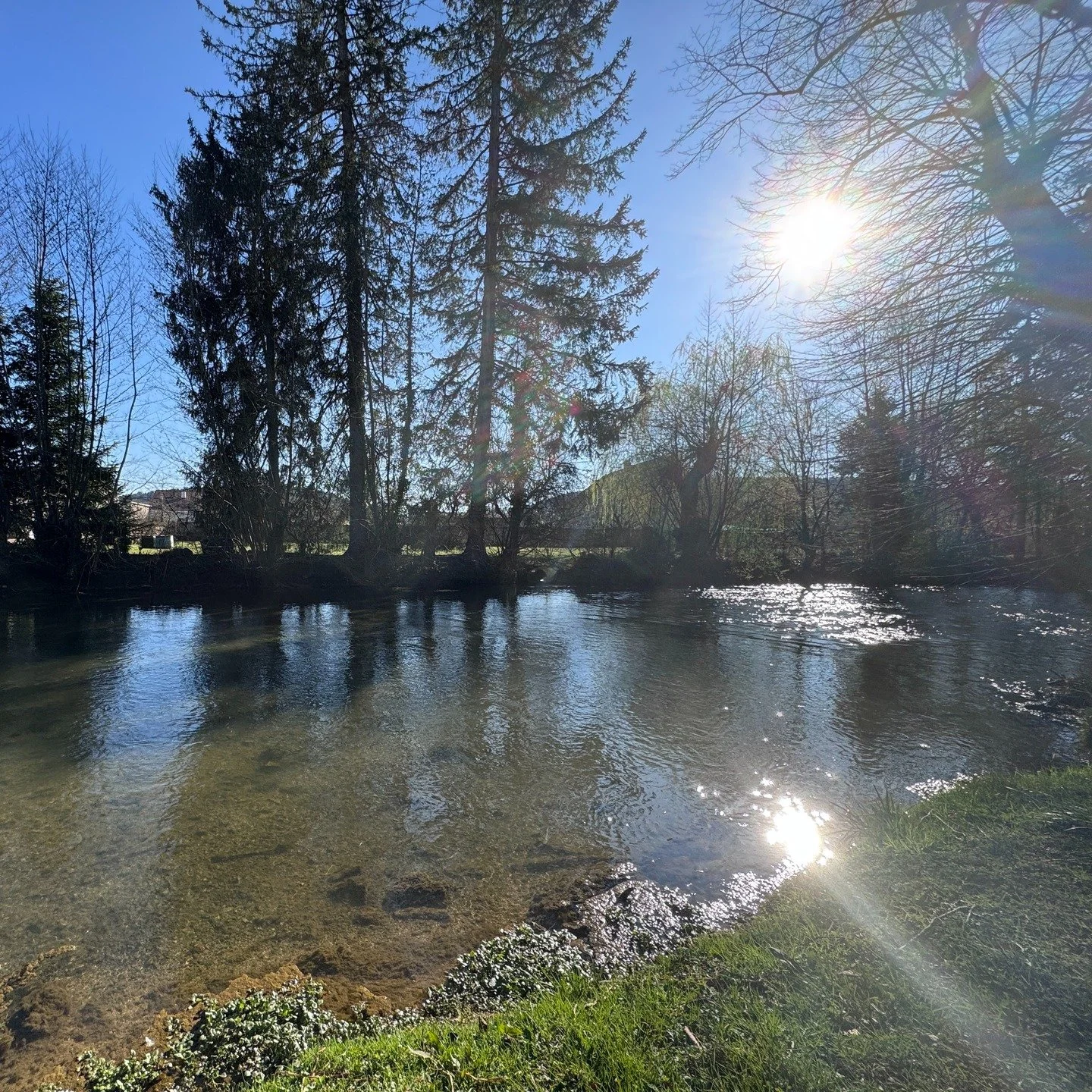 Chez Anne is surrounded by nature and the 'green' aspect of hosting is important to us.

The majority of our travel is made by e-bike with a trailer.

We've been planting a wide combination of flowers and edible plants and just picked our first salad