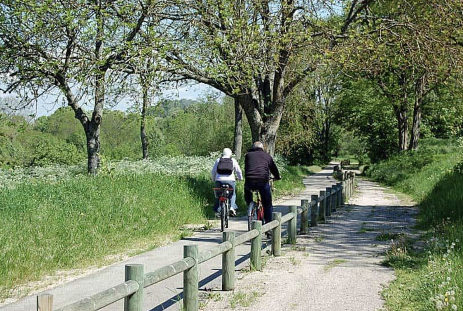 À vélo sur une ancienne voie ferrée : de Langres à Flagey 🚲🌿