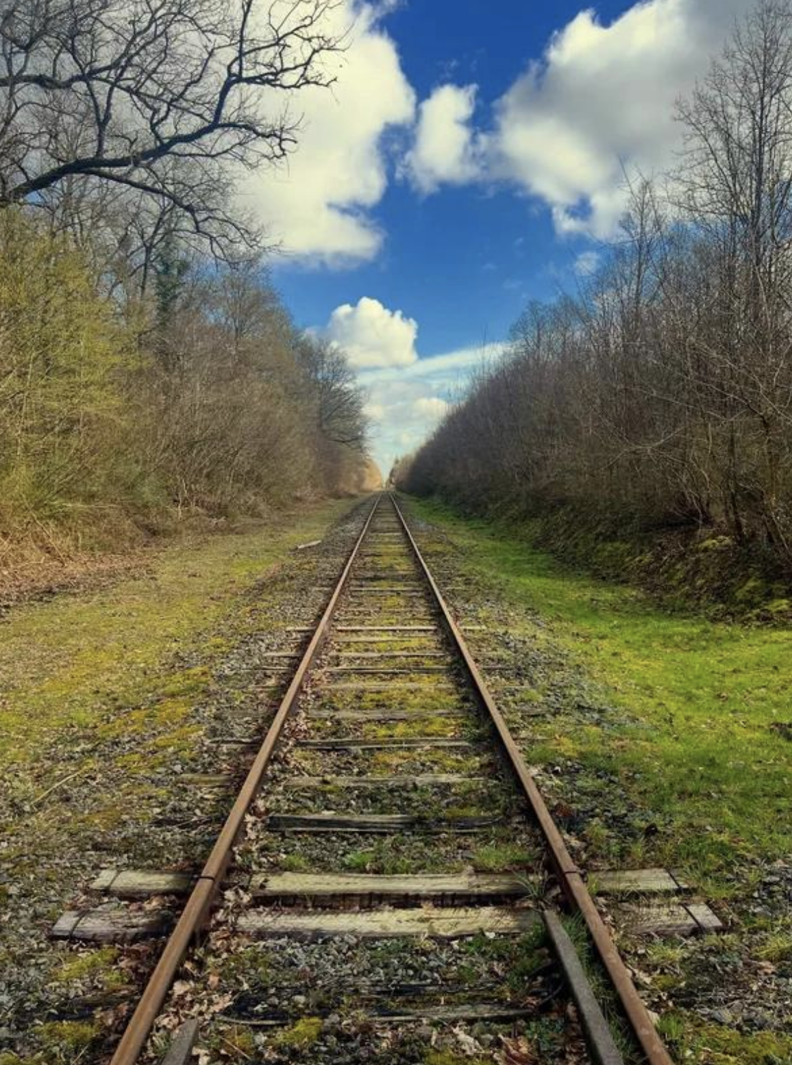 Sur les traces de l'ancienne voie ferrée de Manre à Sommepy-Tahure 🚂🌿