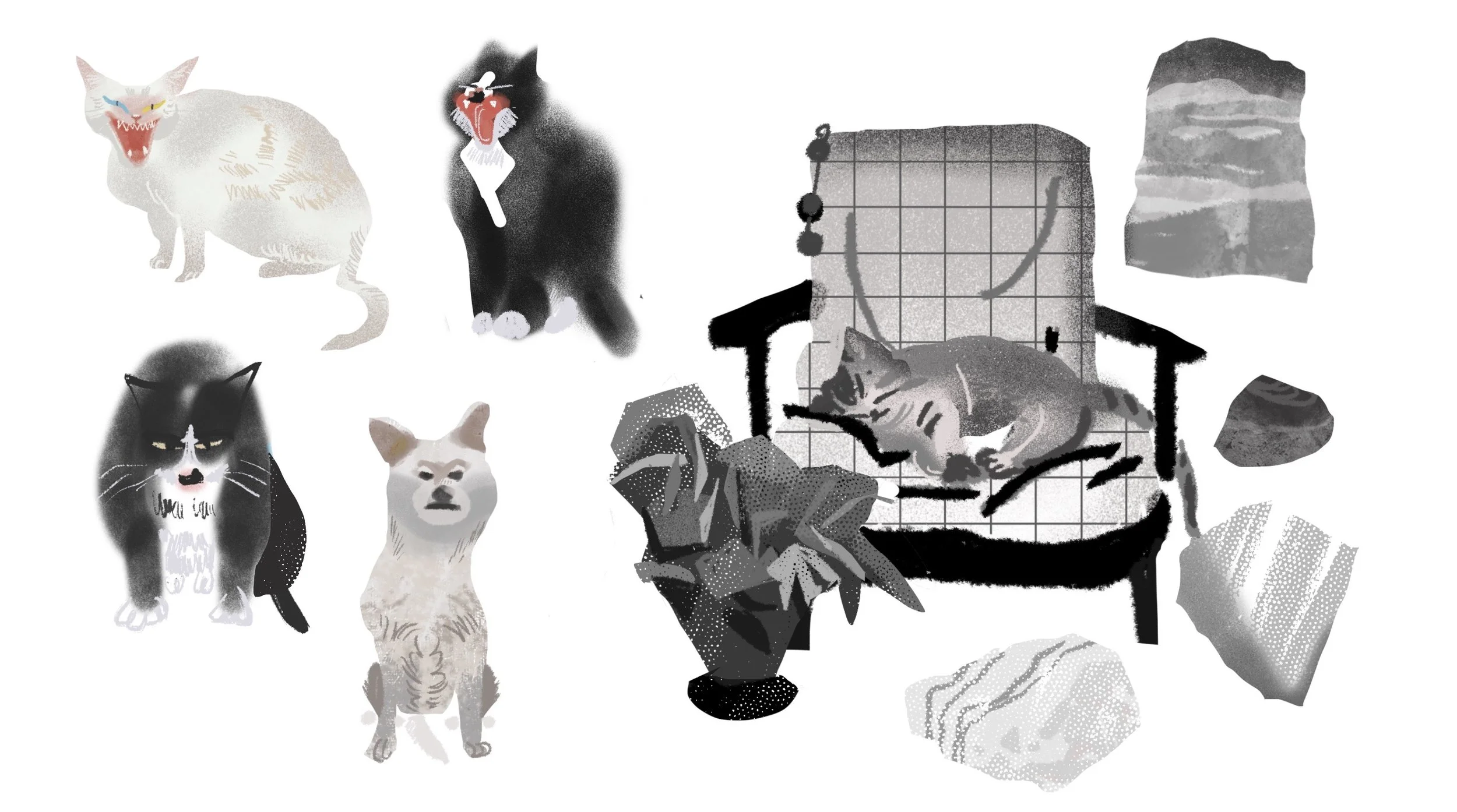 A1FA5E891862BAF97161B7D58E1358C7.png