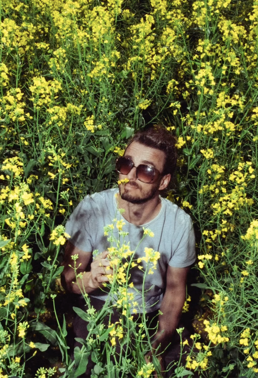 Jangle Pop Hub Names 'Belly Kiss' Essential Listening