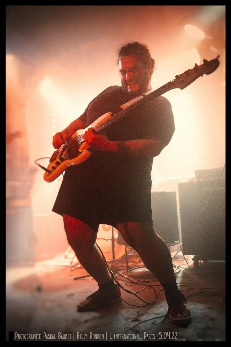 Indie for Bunnies Compares Billy Bonbon to Beach Fossils